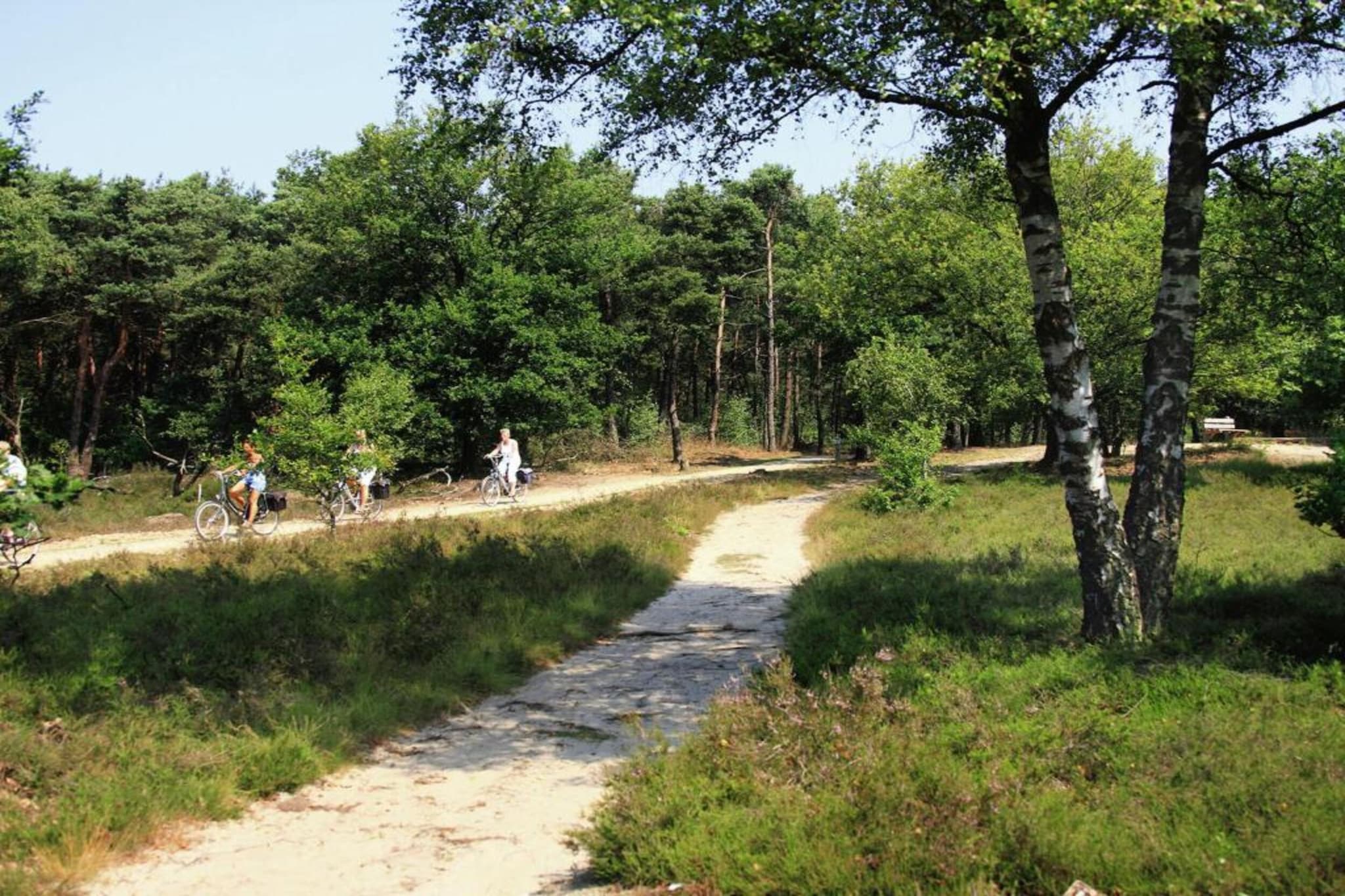 Finse Bungalow in Holten-Gebieden zomer 20km
