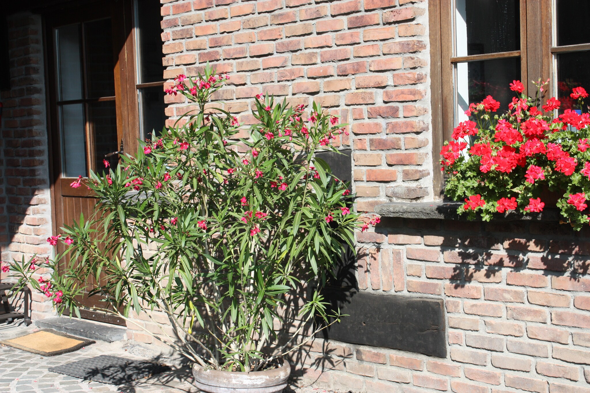 Vakantiehuis Nadrin max. 18 personen 7 slaapkamers #33
