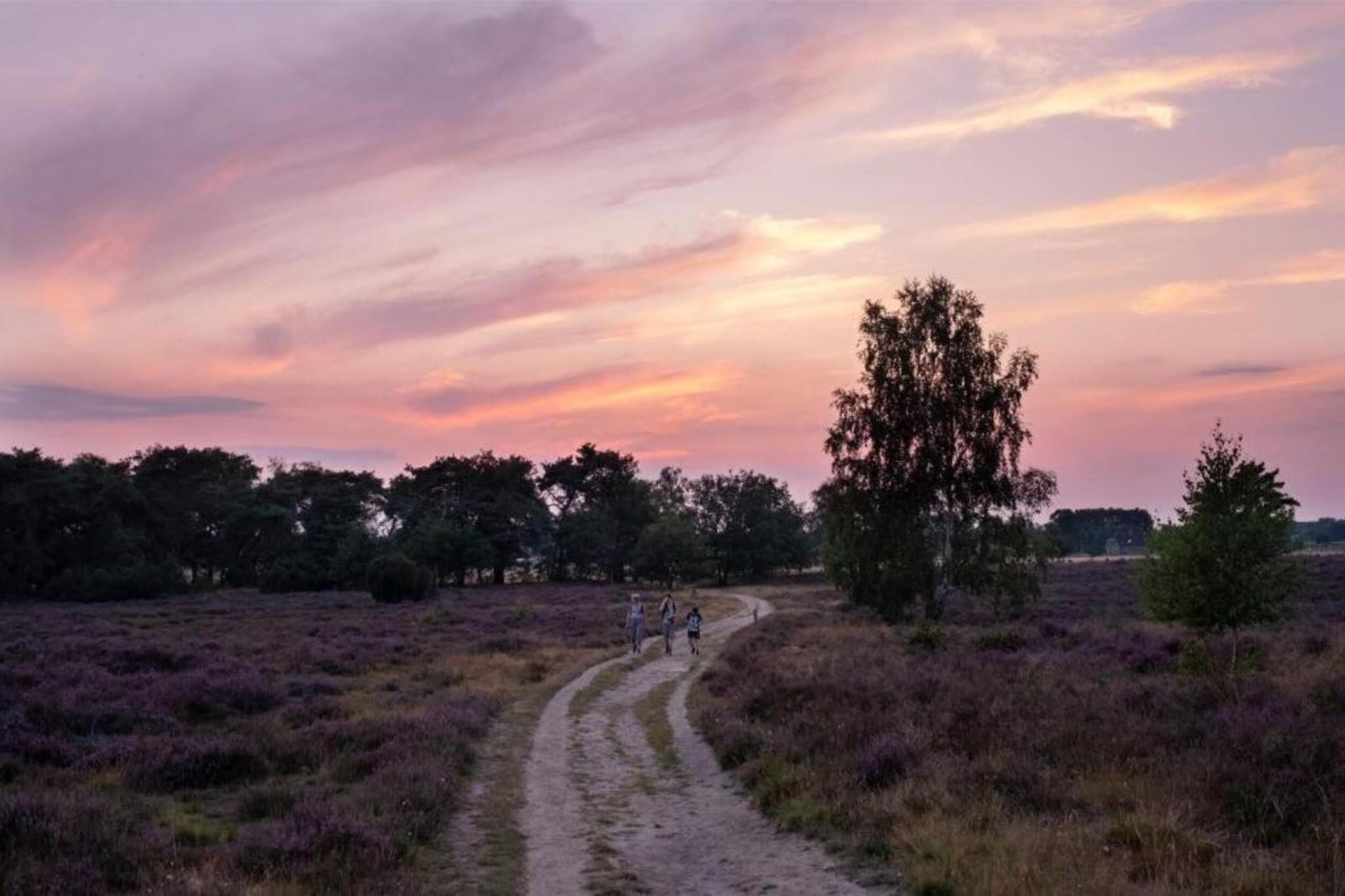 Buitenplaats Holten 7-Gebieden zomer 5km