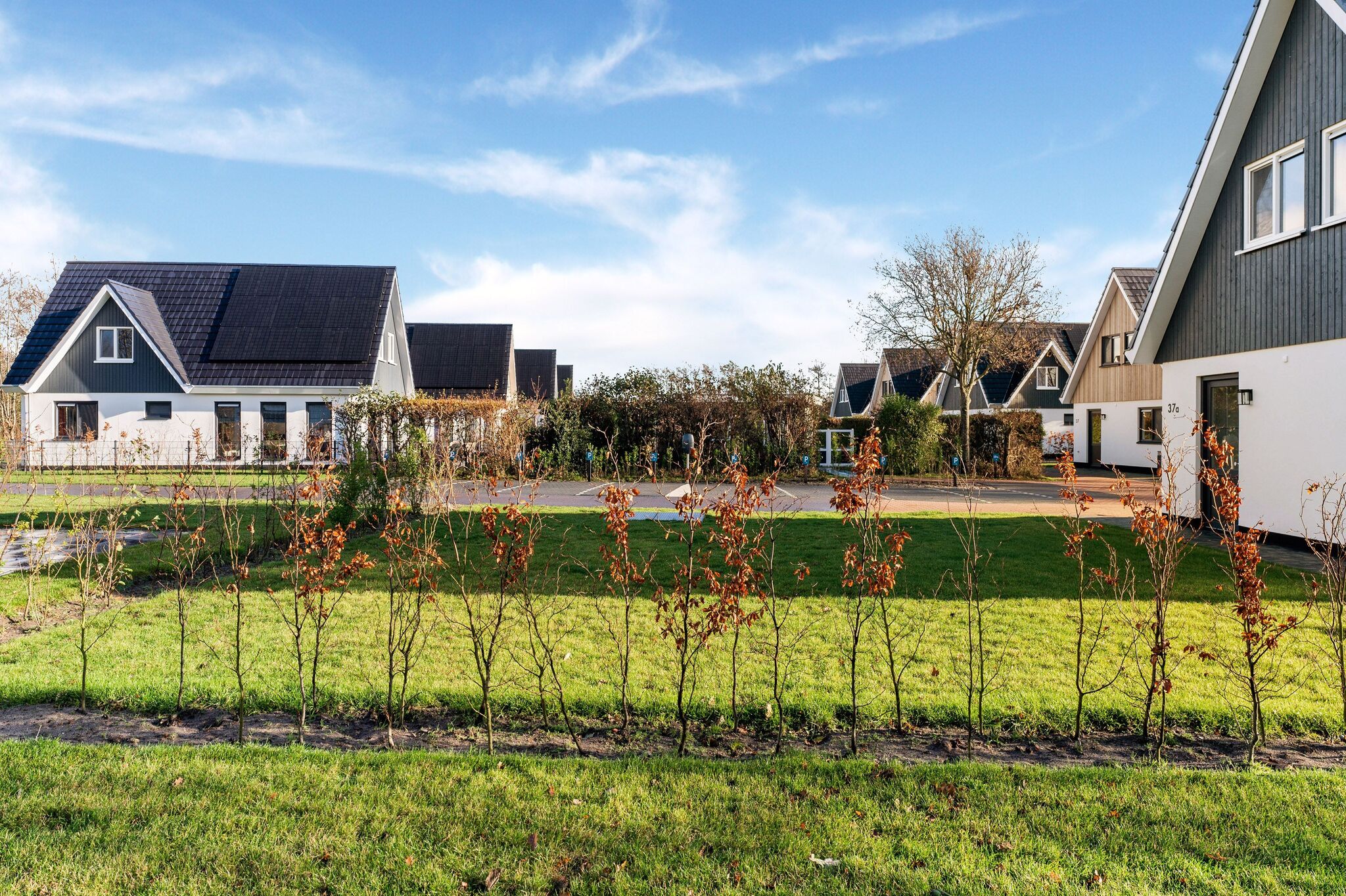 Luxe villa op Texel met infraroodsauna en bubbelbad