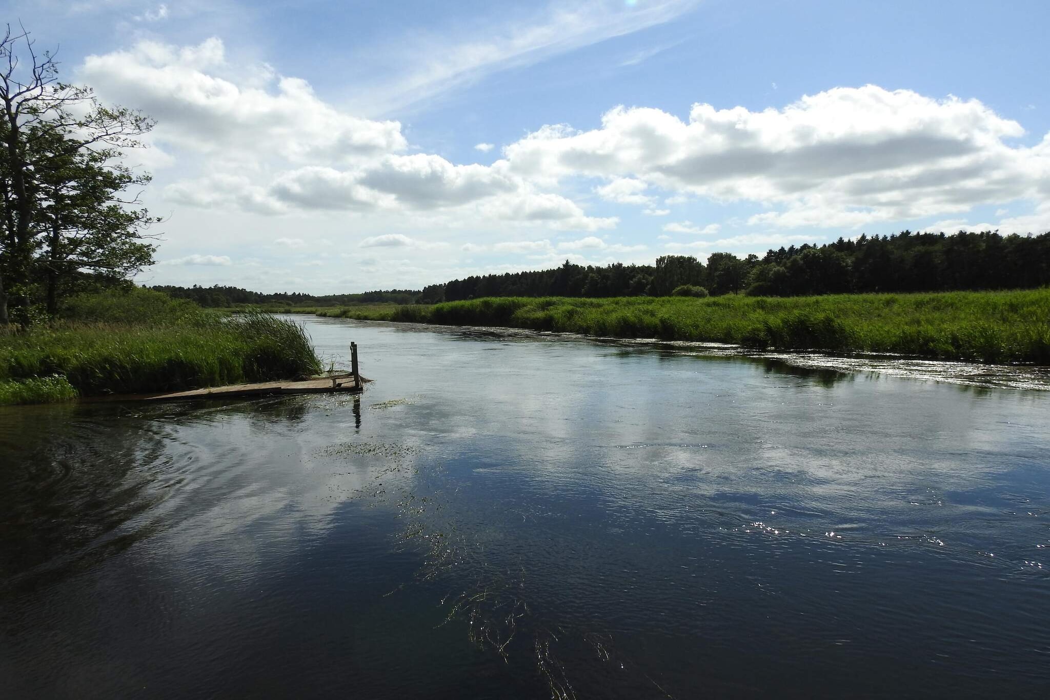 6 persoons vakantie huis in Fårvang-Waterzicht