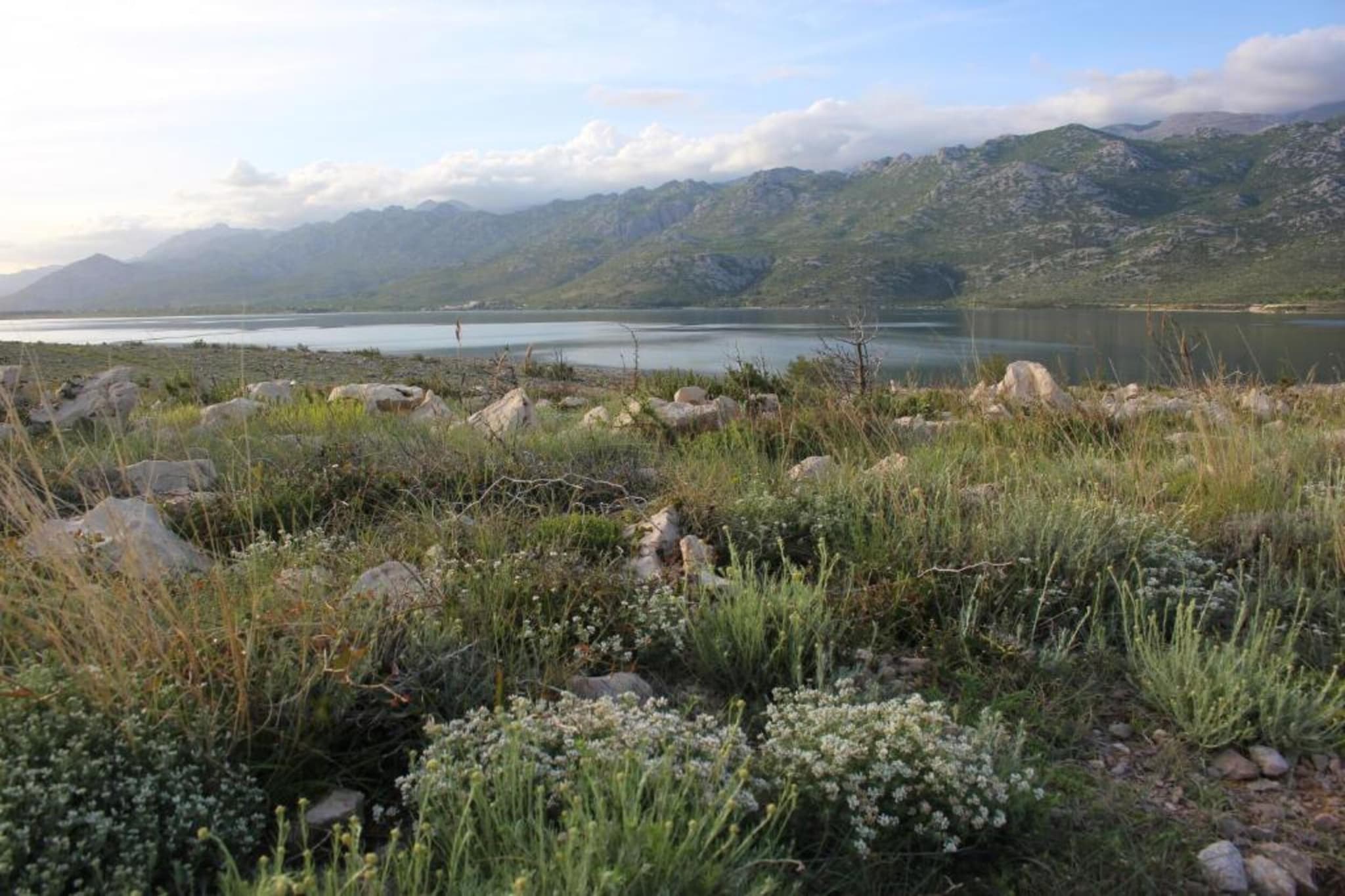 Holiday home Rovanjska-Gebieden zomer 20km