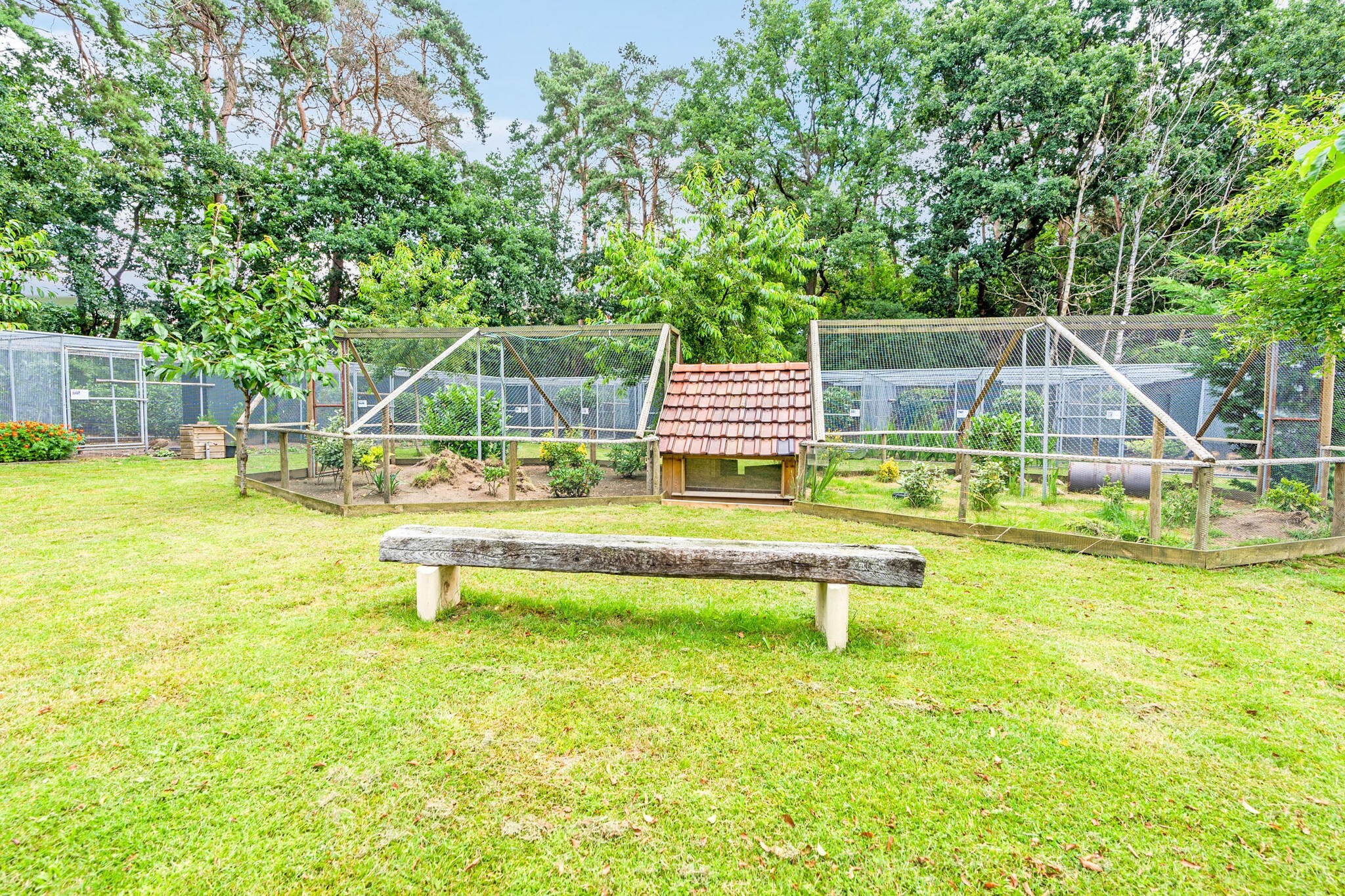 Vakantiehuis Pelt max. 5 personen 2 slaapkamers #30
