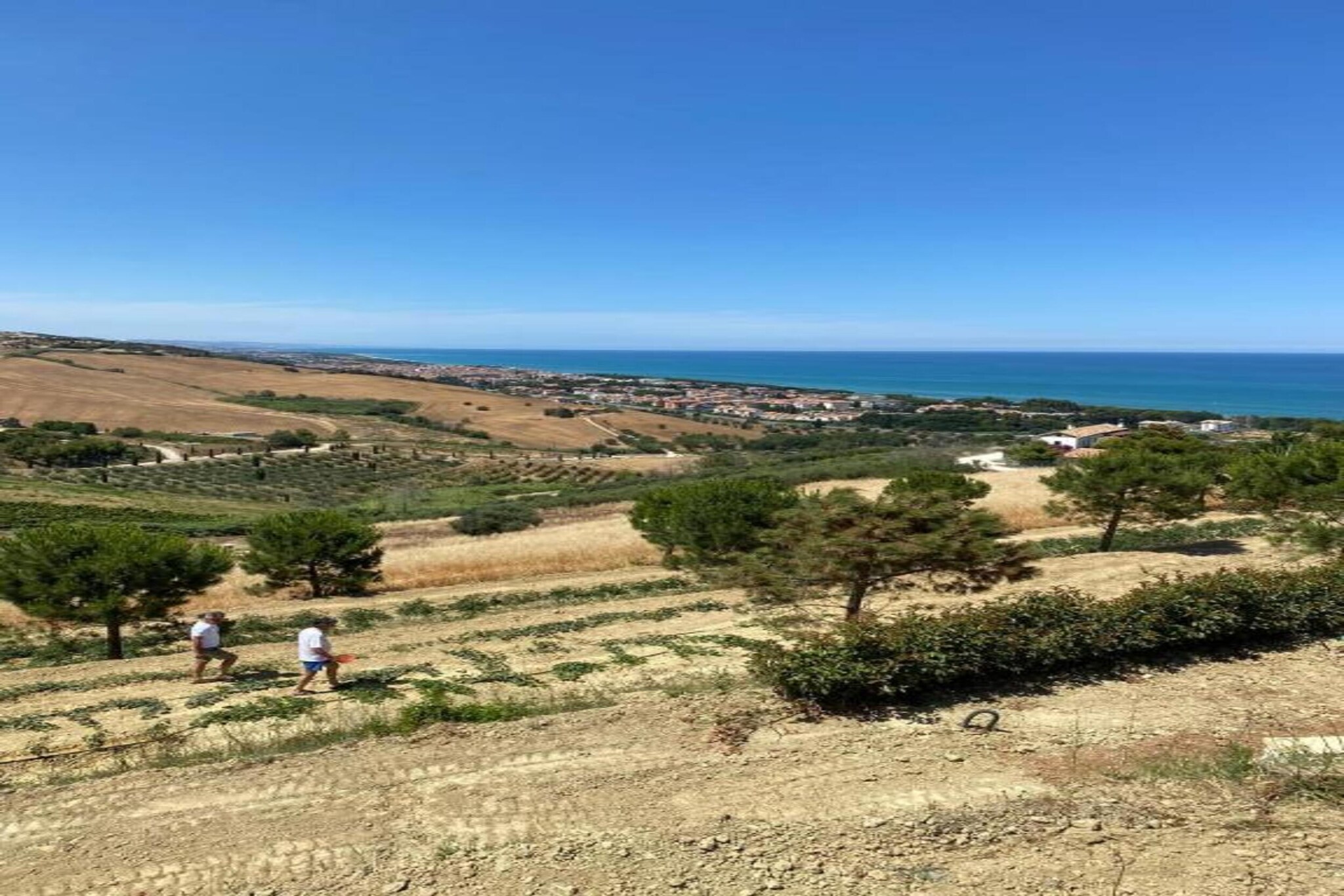 MAISON PISCINE AU CALME A PINET-Gebieden zomer 20km
