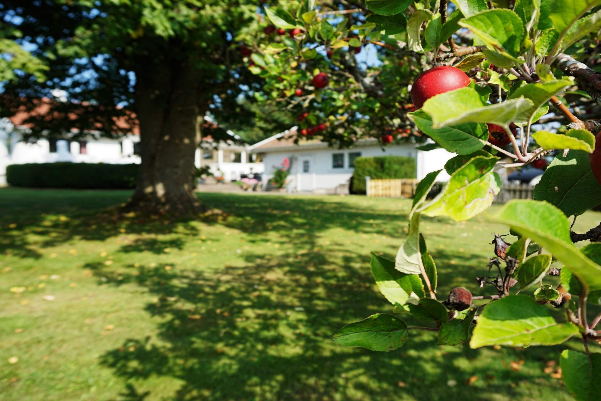 10 person holiday home in Ã…SA