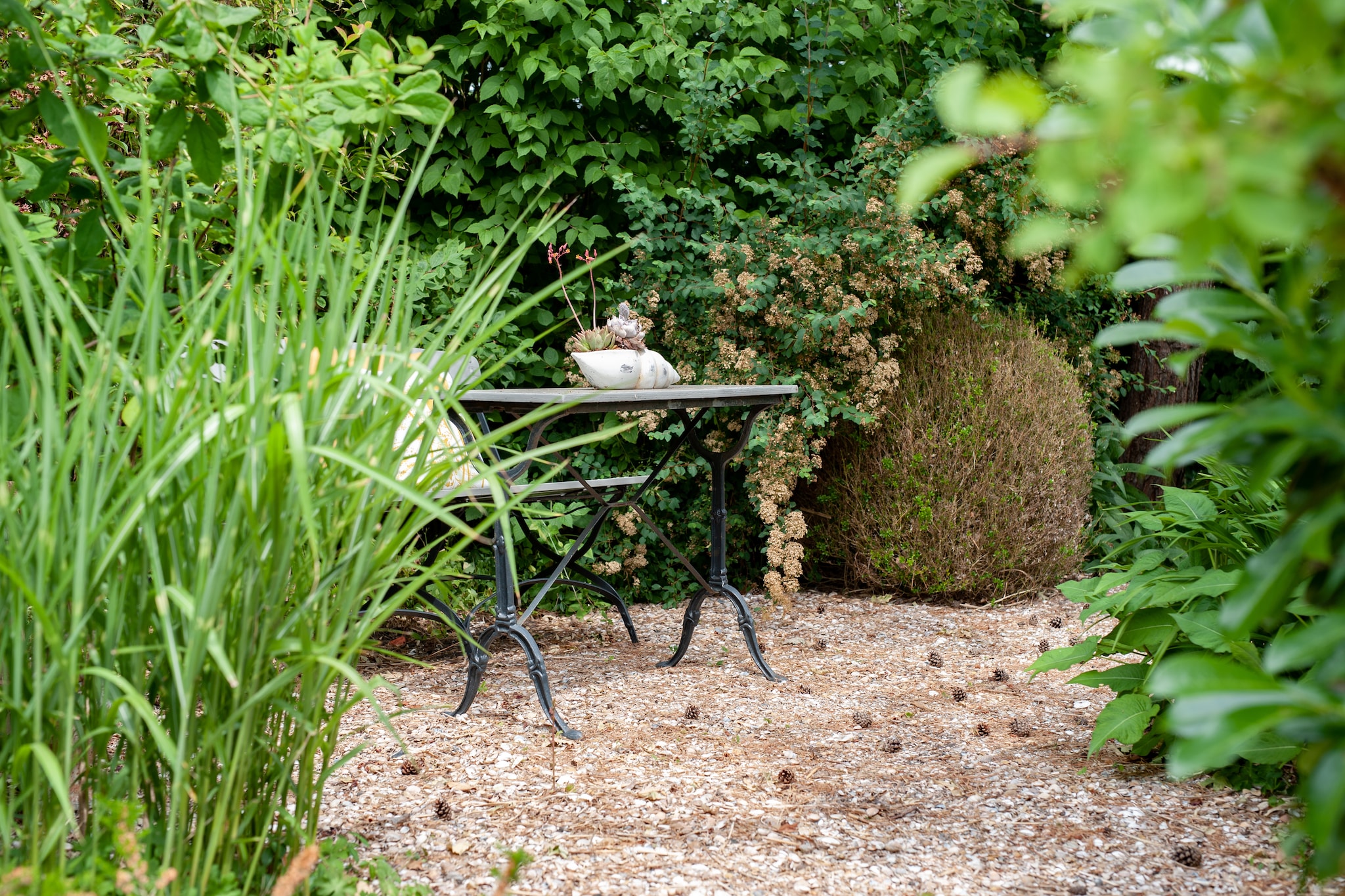Garden Summer