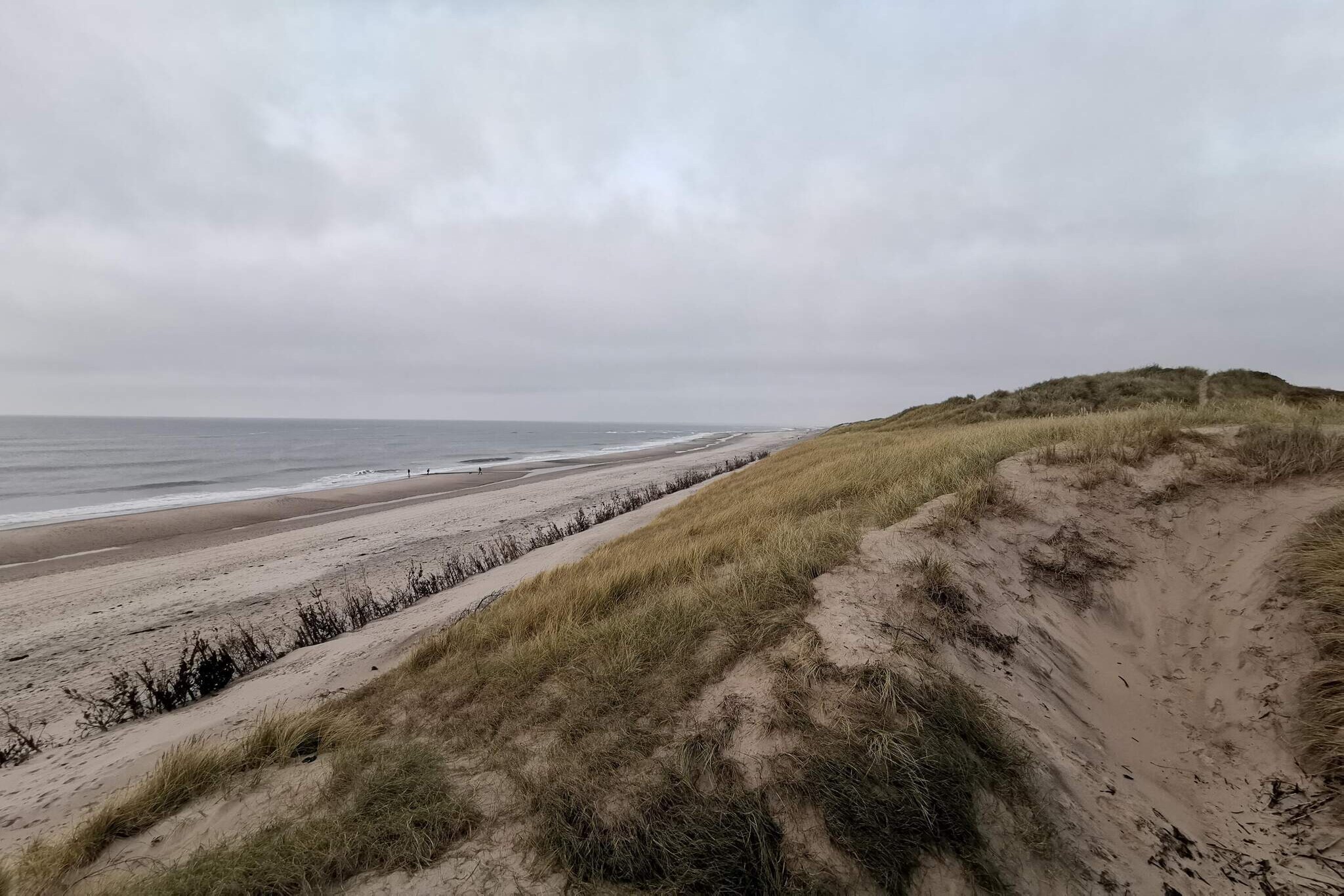 6 persoons vakantie huis in Ringkøbing-Waterzicht