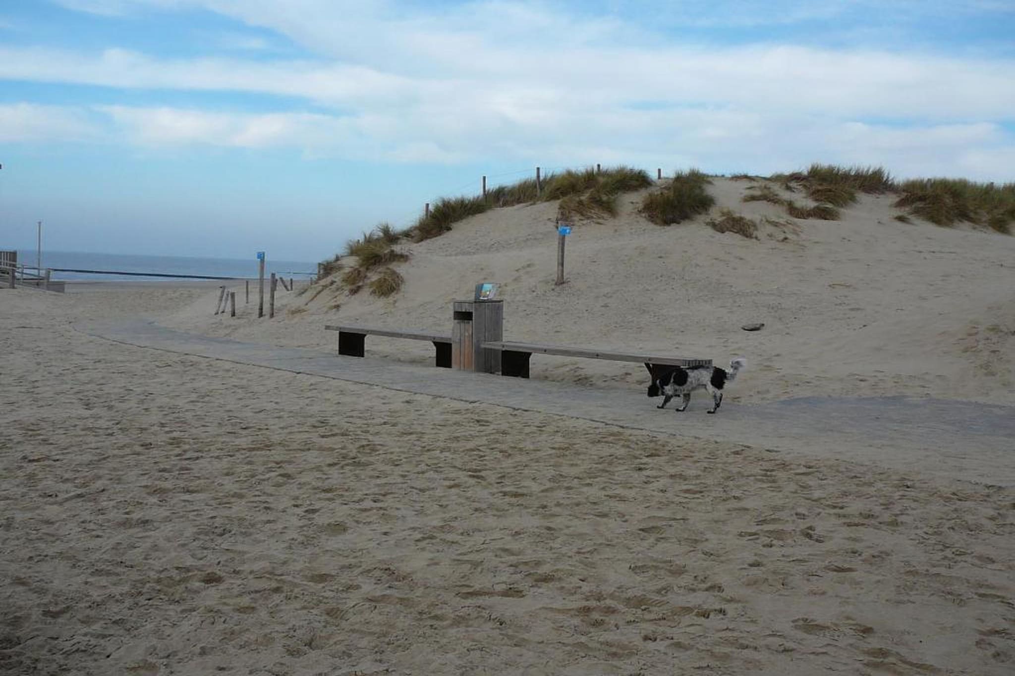 Strandslag 115-Gebieden zomer 20km