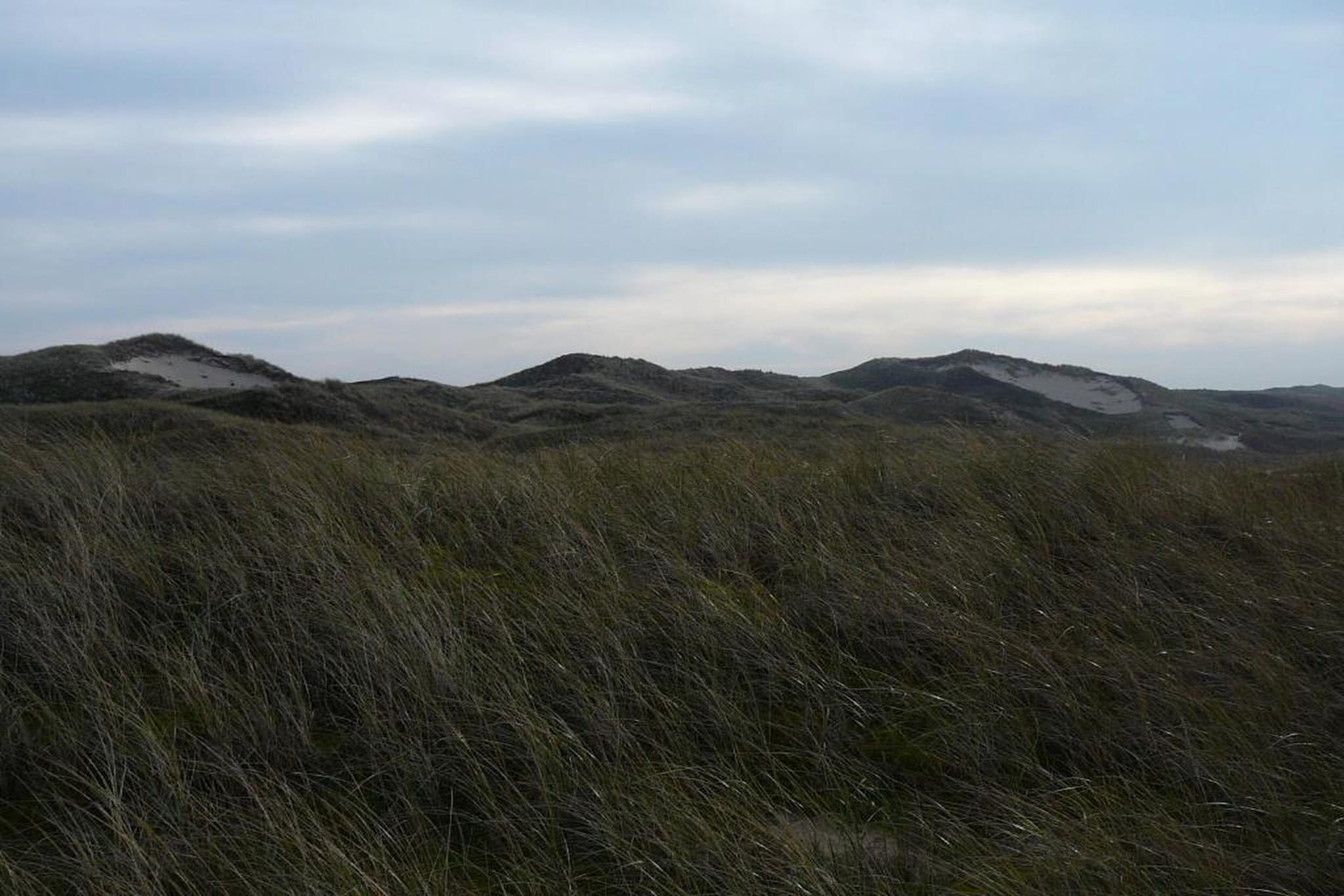 Strandslag 115-Gebieden zomer 20km