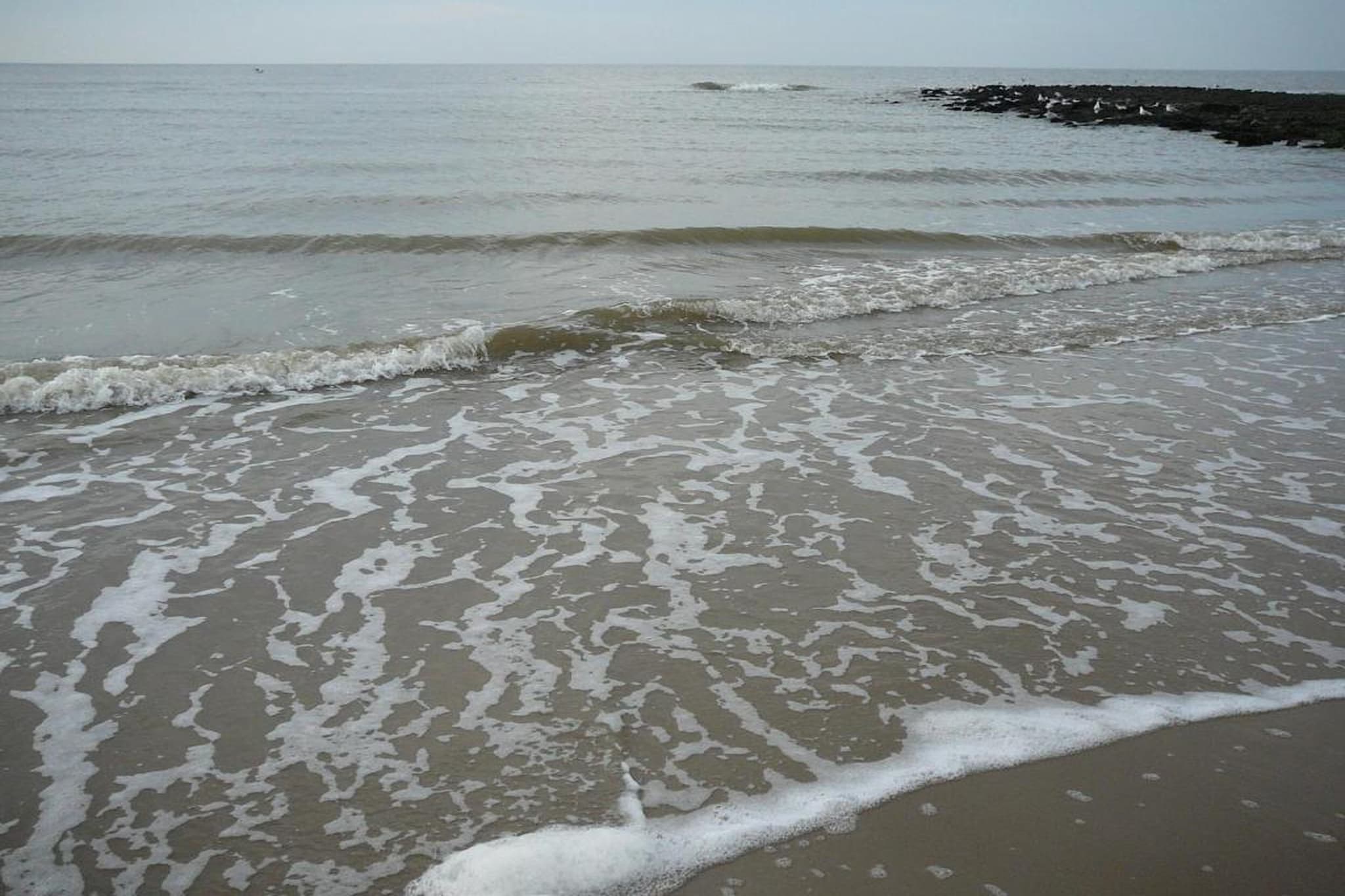 Strandslag 115-Gebieden zomer 20km