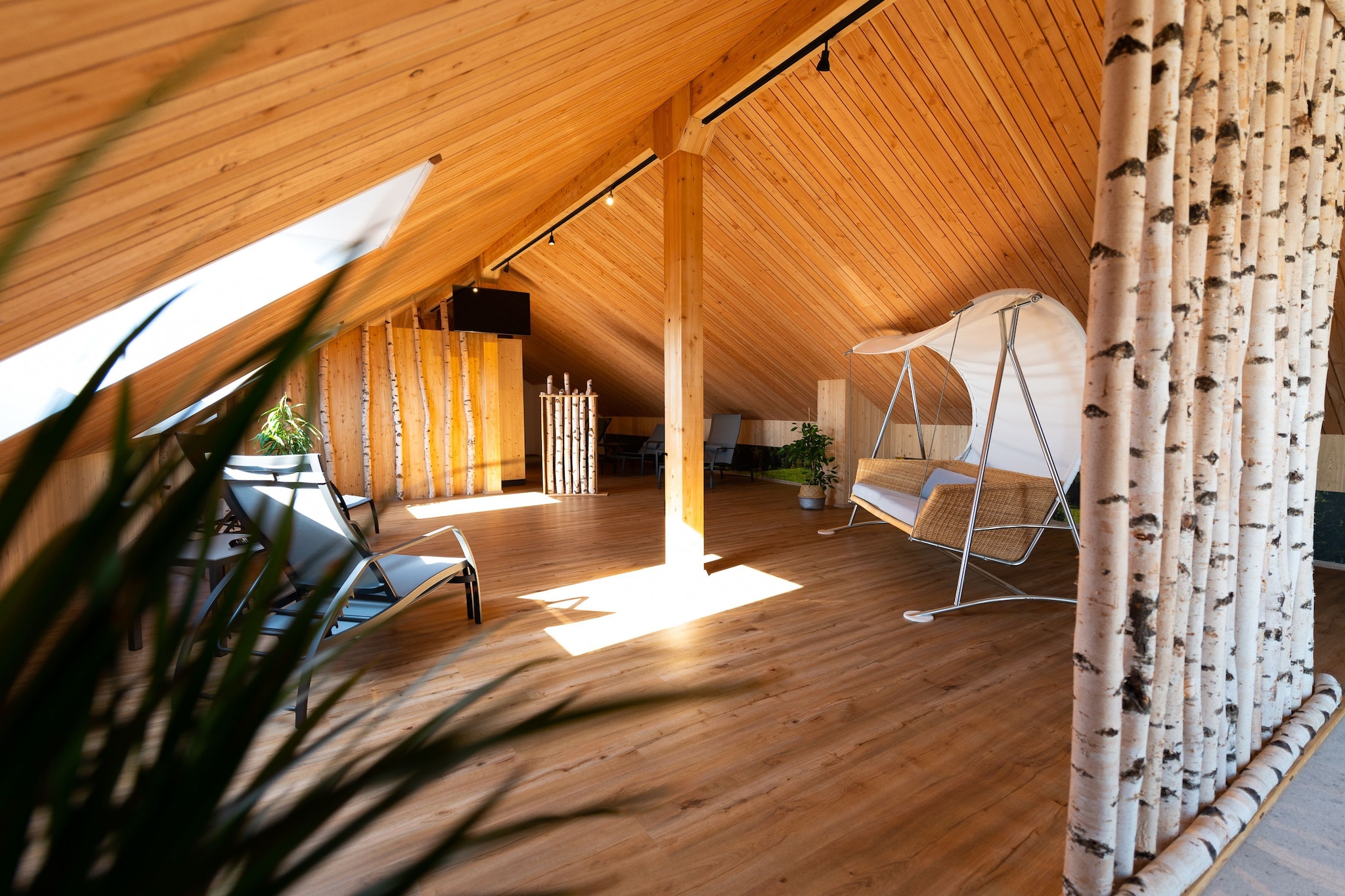 Modern Apartment in Mettlach with Infrared Sauna