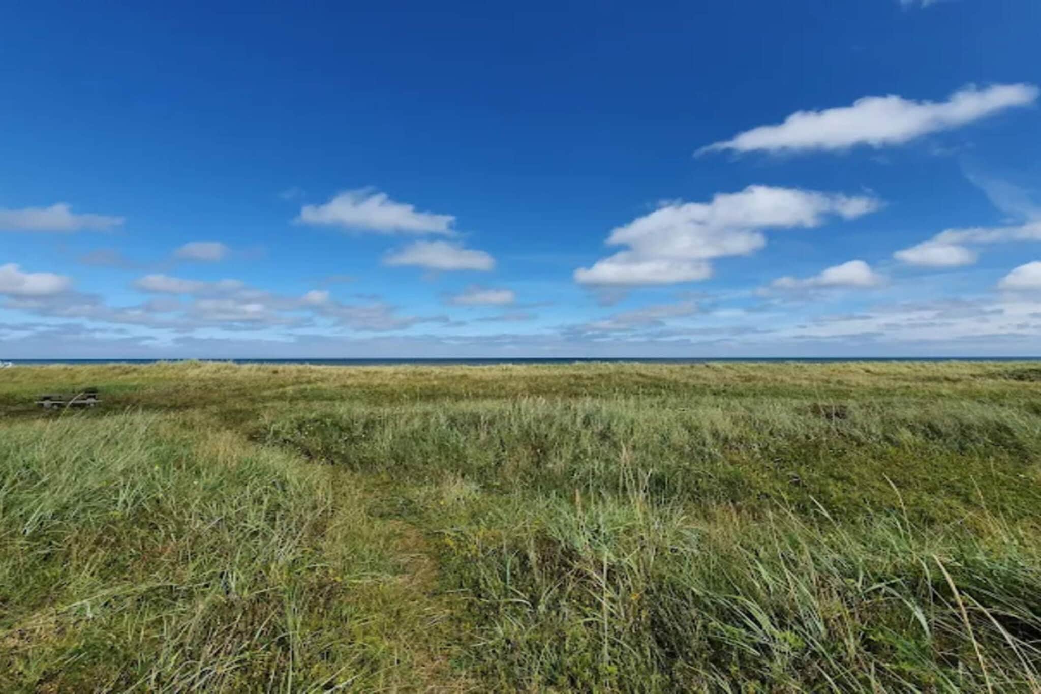 Kustsereniteit bij Knasborg Strand-By Traum