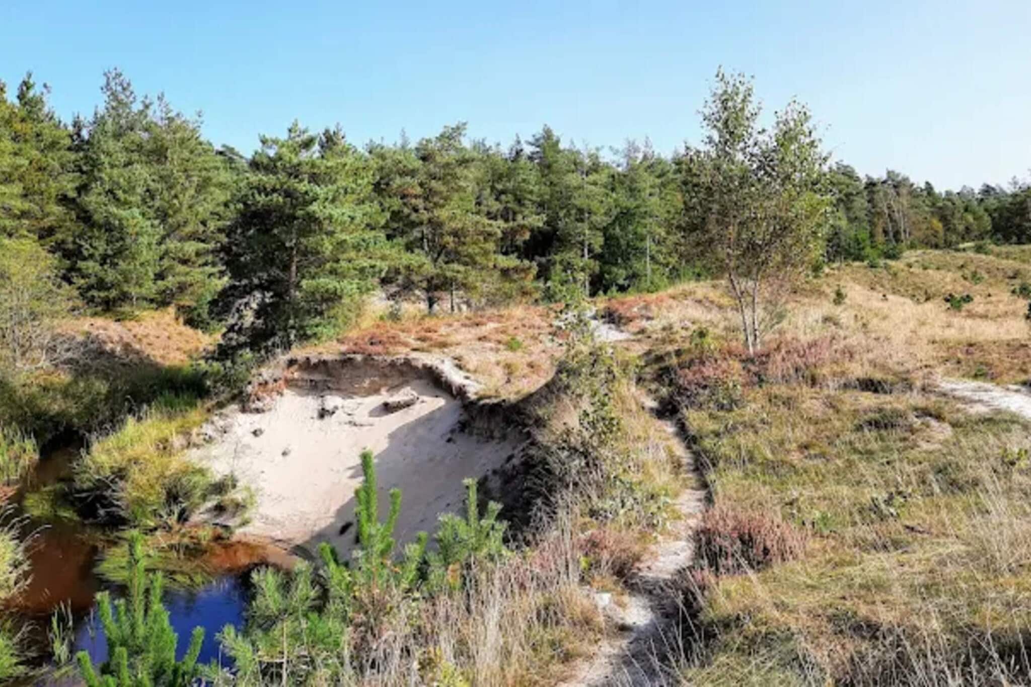 Kustsereniteit bij Knasborg Strand-By Traum-Niet-getagd