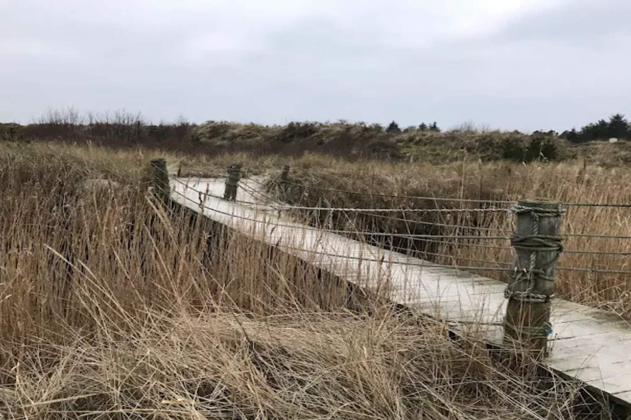 Kustsereniteit bij Knasborg Strand-By Traum-Niet-getagd