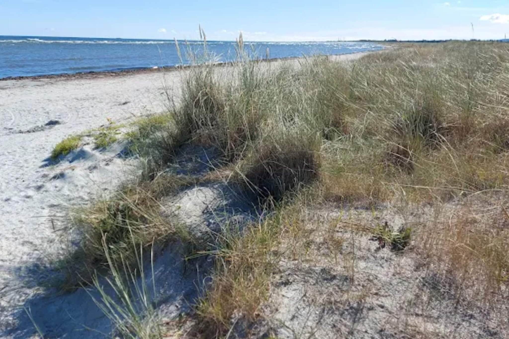 Kustsereniteit bij Knasborg Strand-By Traum-Waterzicht