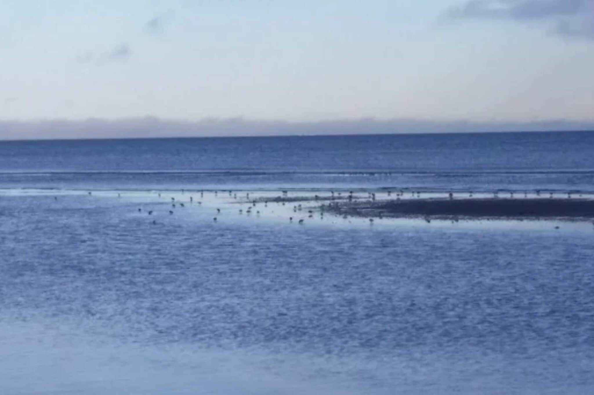 Kustsereniteit bij Knasborg Strand-By Traum-Waterzicht
