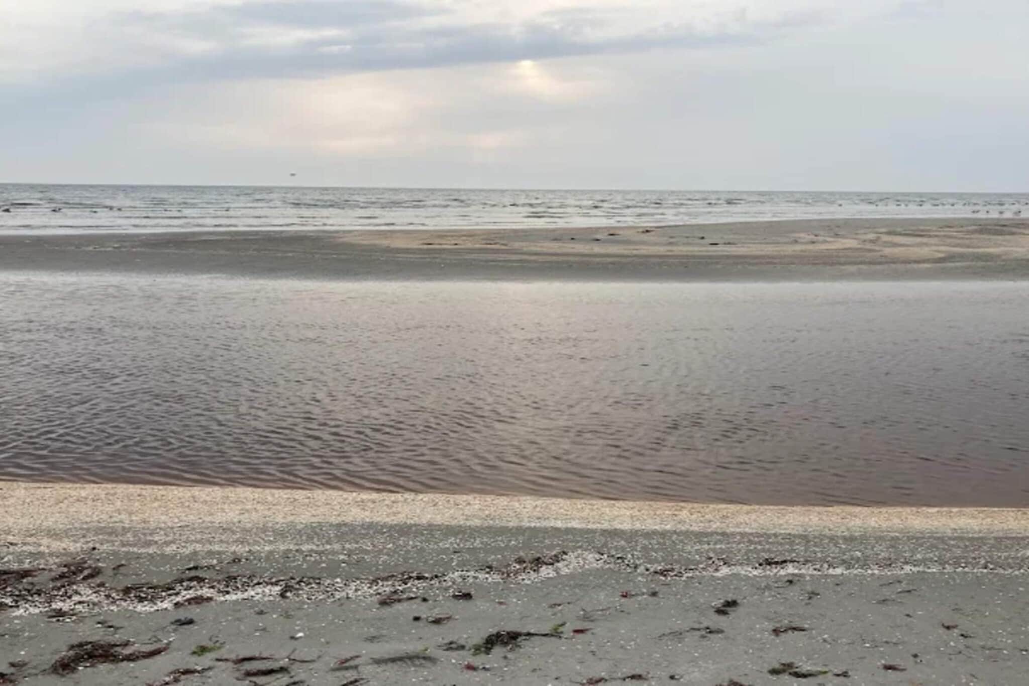 Kustsereniteit bij Knasborg Strand-By Traum-Waterzicht