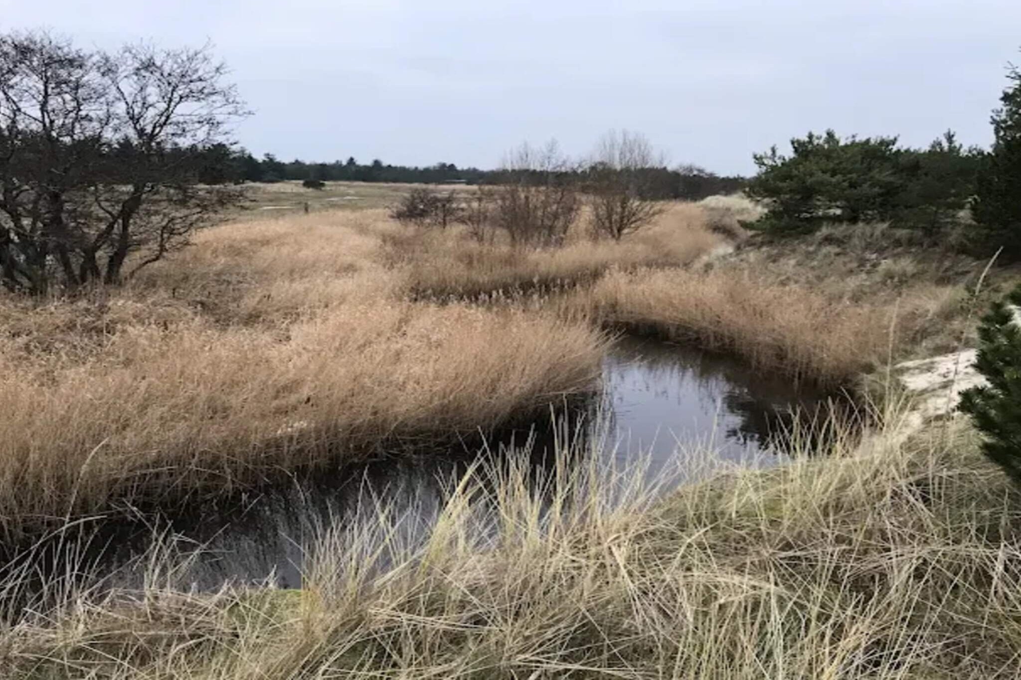 Kustsereniteit bij Knasborg Strand-By Traum-Waterzicht