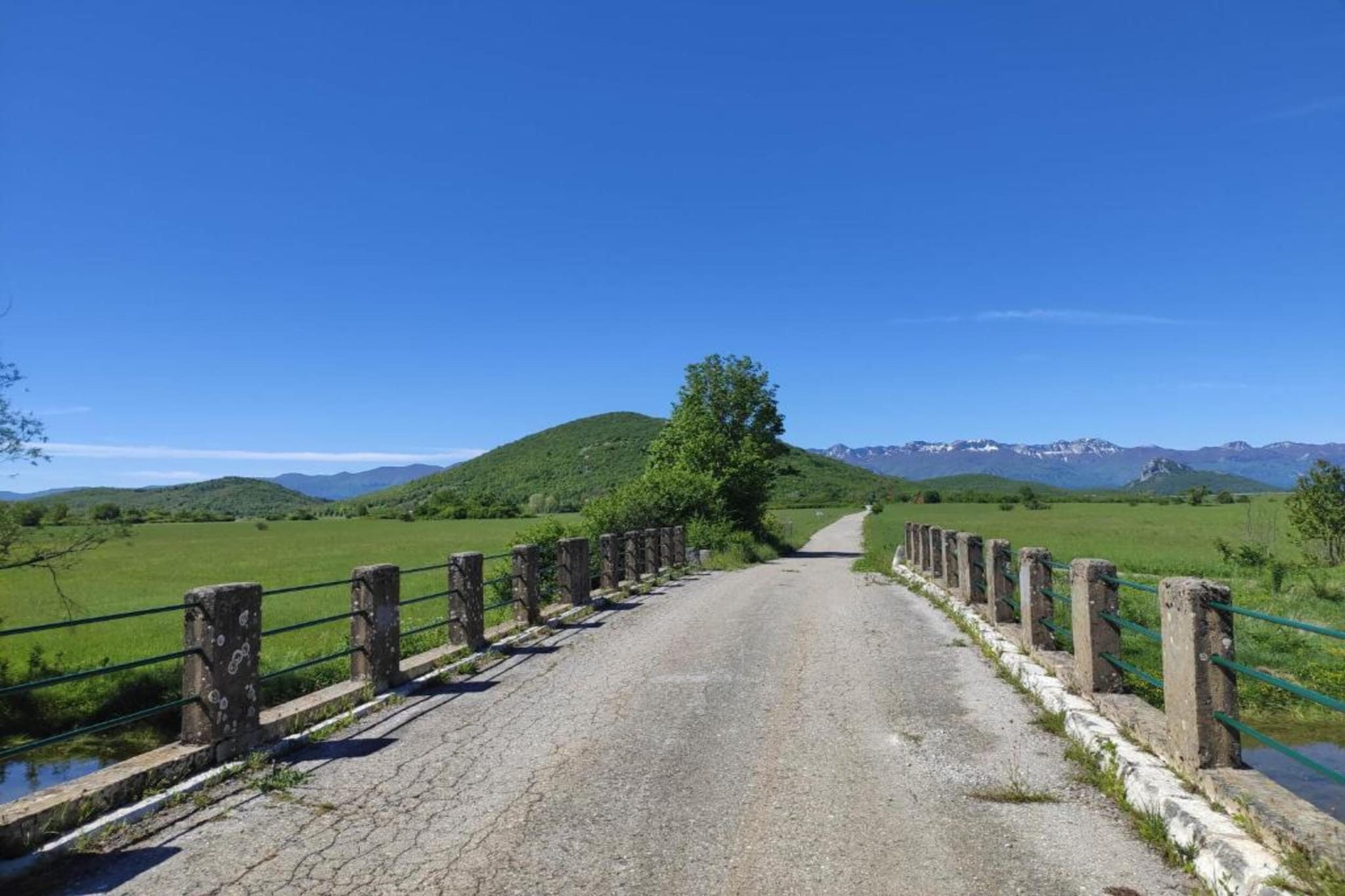 Degenia Velebitica nr 10-Gebiete Sommer 1 km