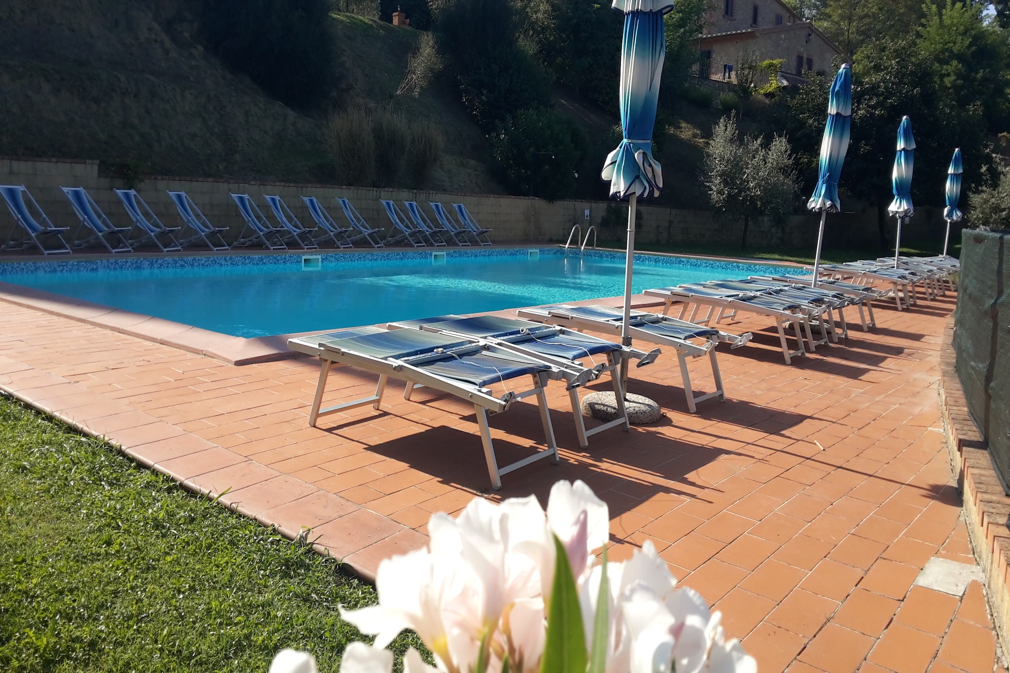 Ciliegio-Pool
