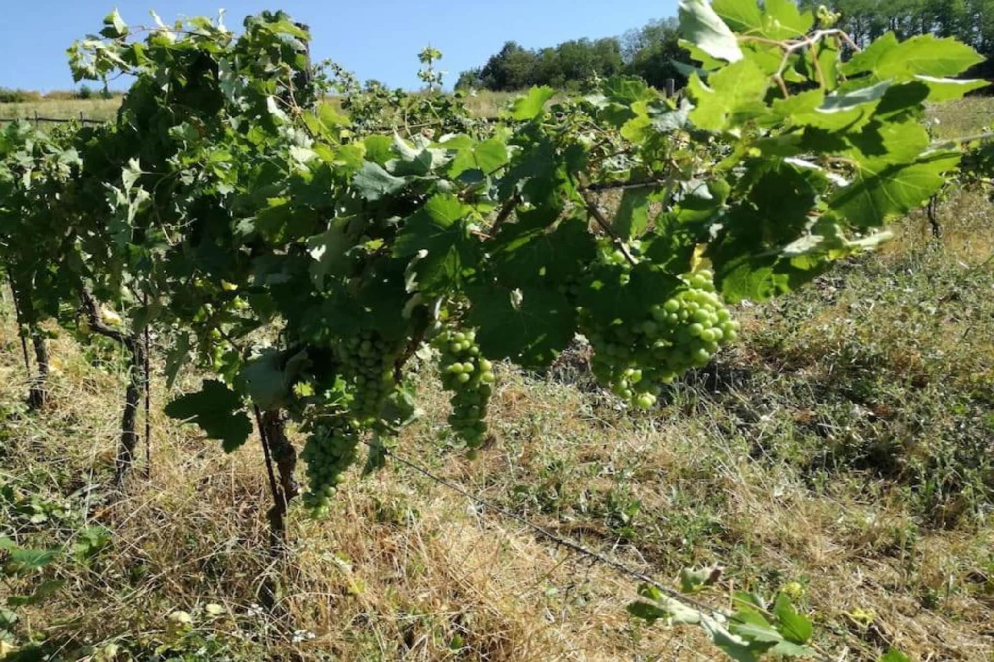 BB Montemarzino-Areas summer 20km
