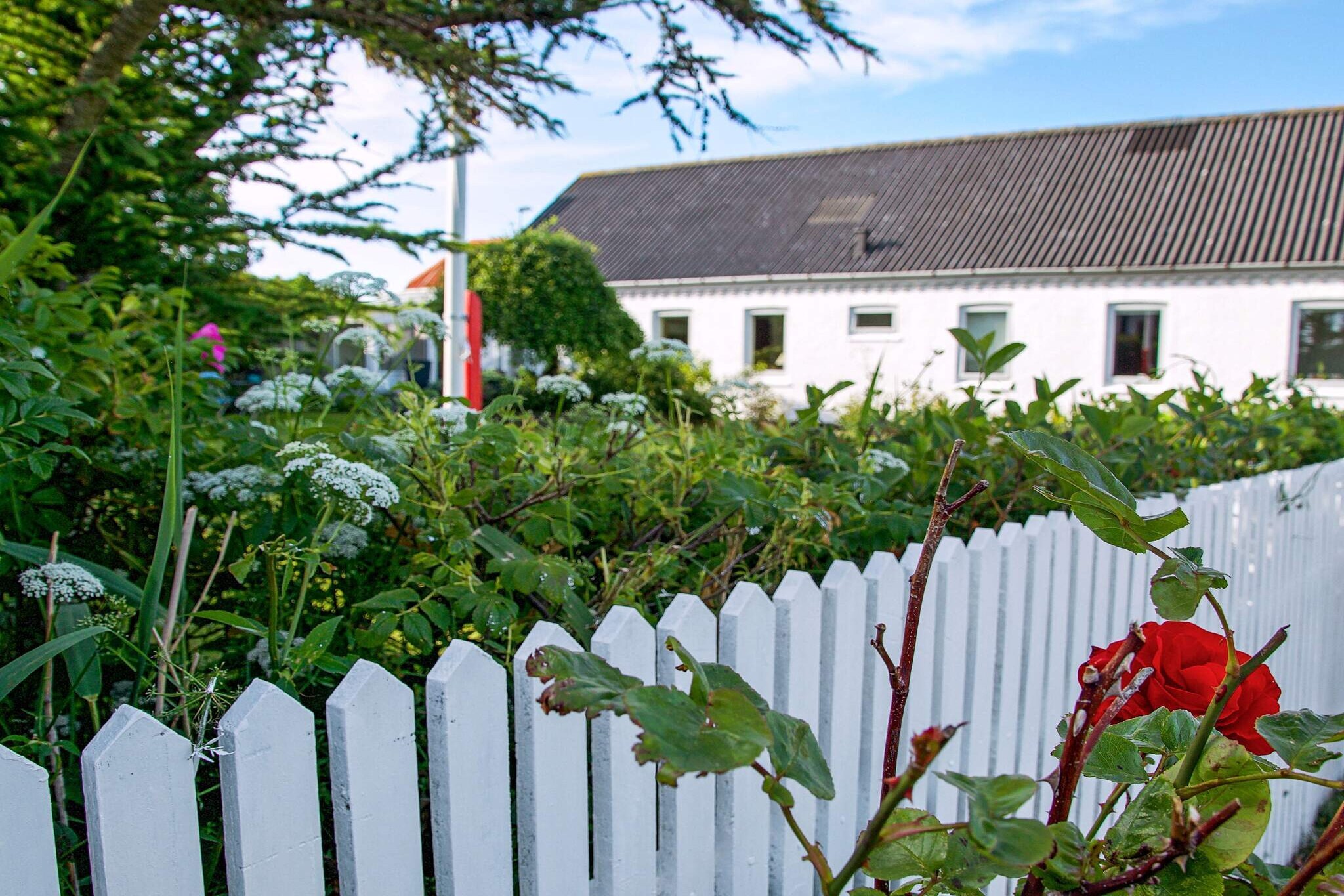 open kitchen(cooker(electric), hood, coffee machine, microwave, dishwasher, fridge), Living/bed room(TV(satellite, german television channels), high chair, chromecast), bedroom(3x single bed), bedroom(2x single bed), bedroom(2x single bed), bathroom(tumble dryer, bathtub or shower, washbasin, toilet, washing machine), terrace, garden, BBQ, table tennis table, table football, air hockey, darts, billiards, geothermal energy, air to air heatpump