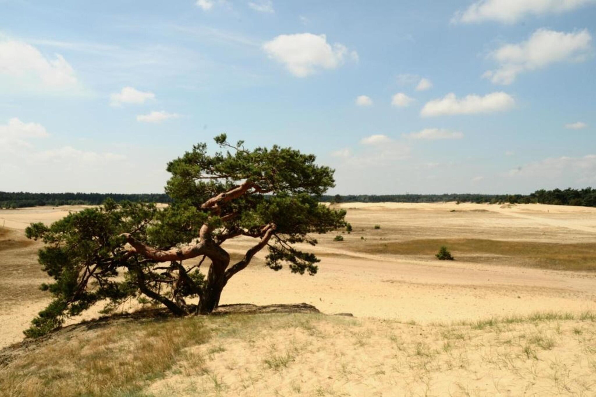 Luxe villa Harderwijk 207-Gebieden zomer 20km