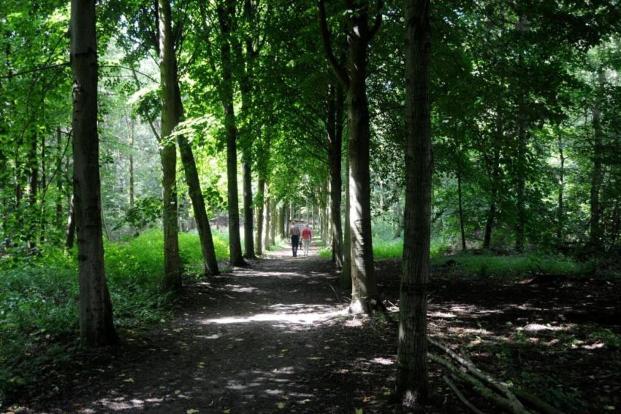 Luxe villa Harderwijk 207-Gebieden zomer 20km
