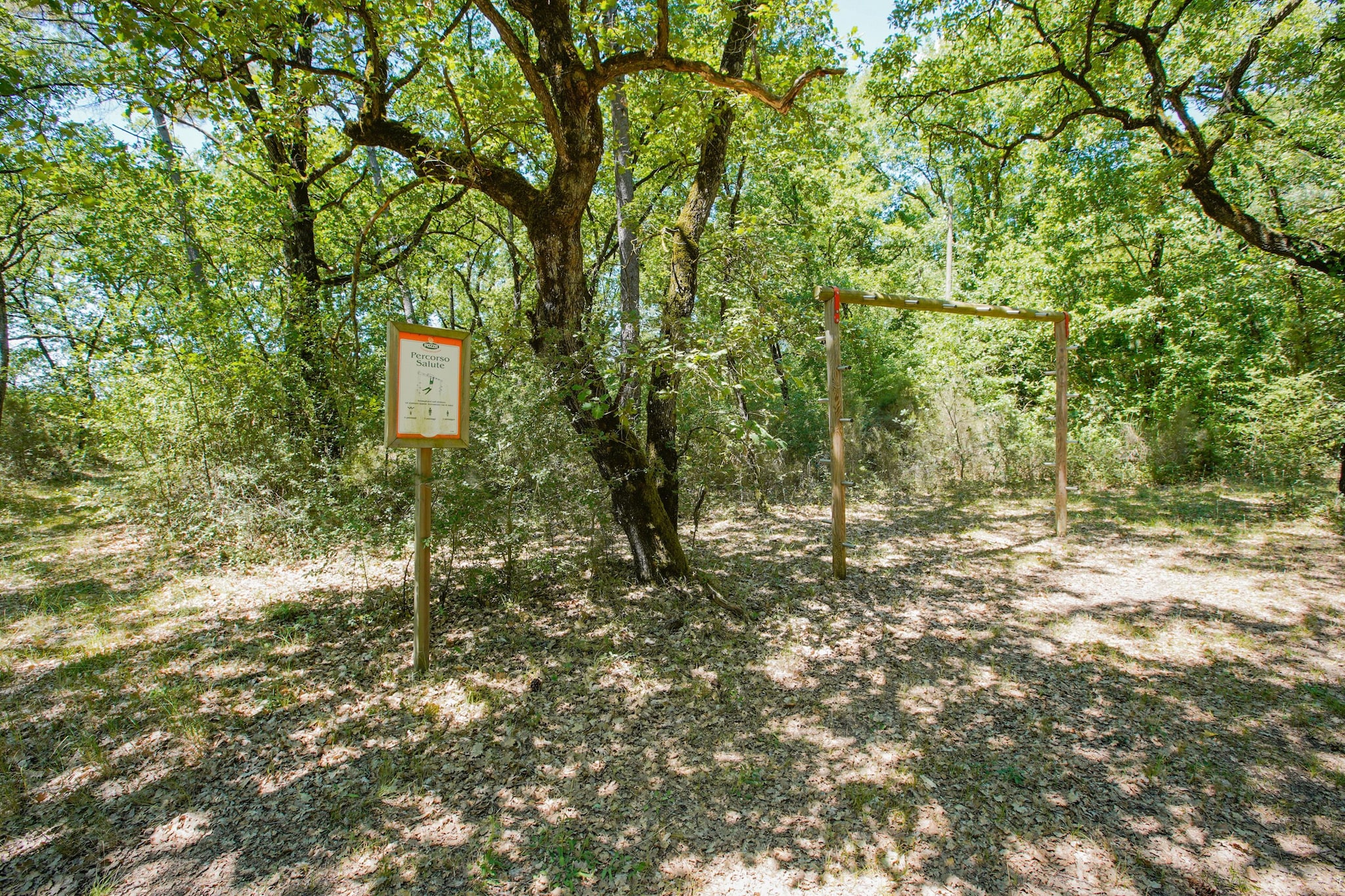 Area Summer1 K M