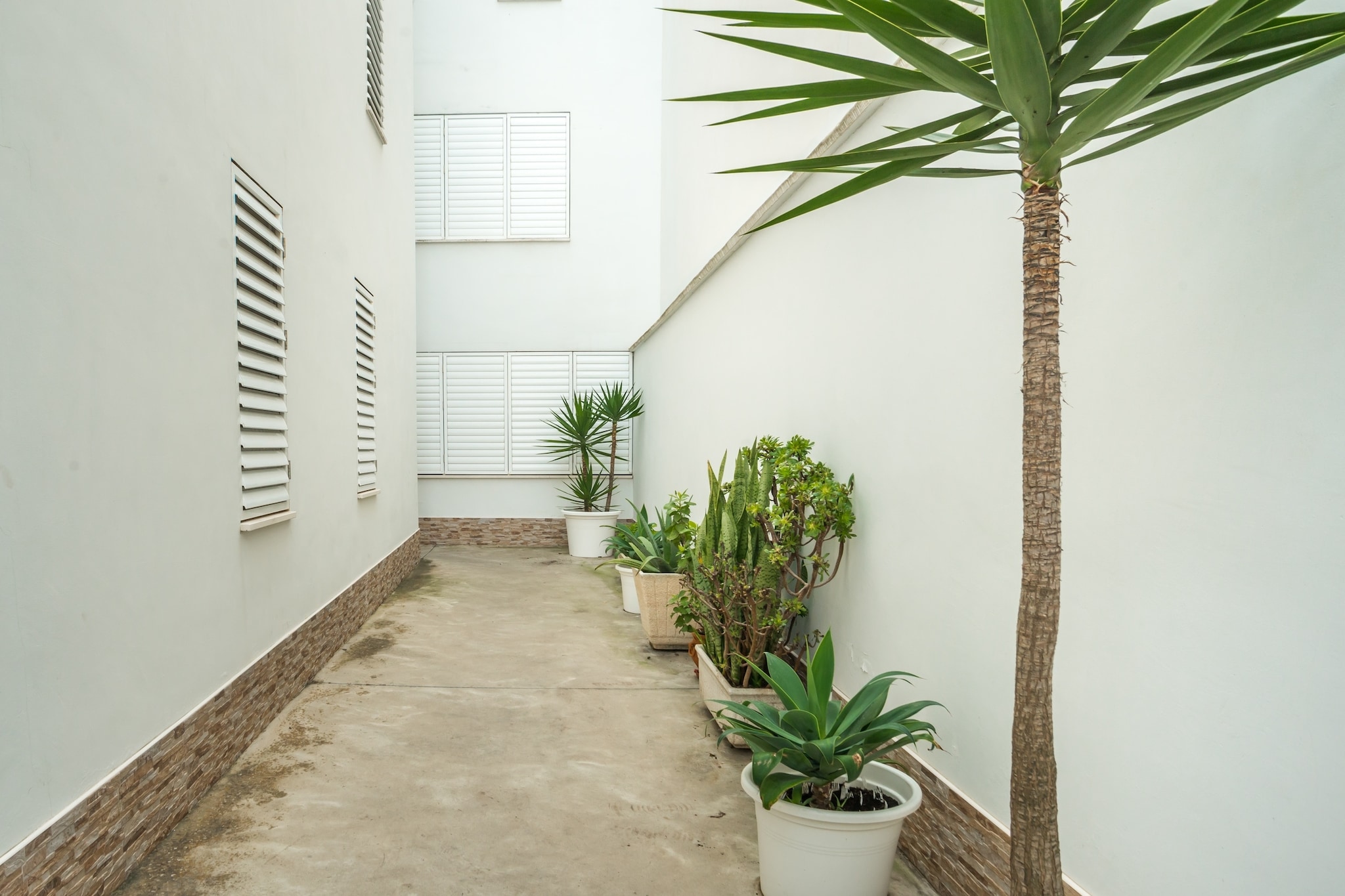 TORRE HERMOSA CONIL DE LA FRONTERA-Terrace balcony