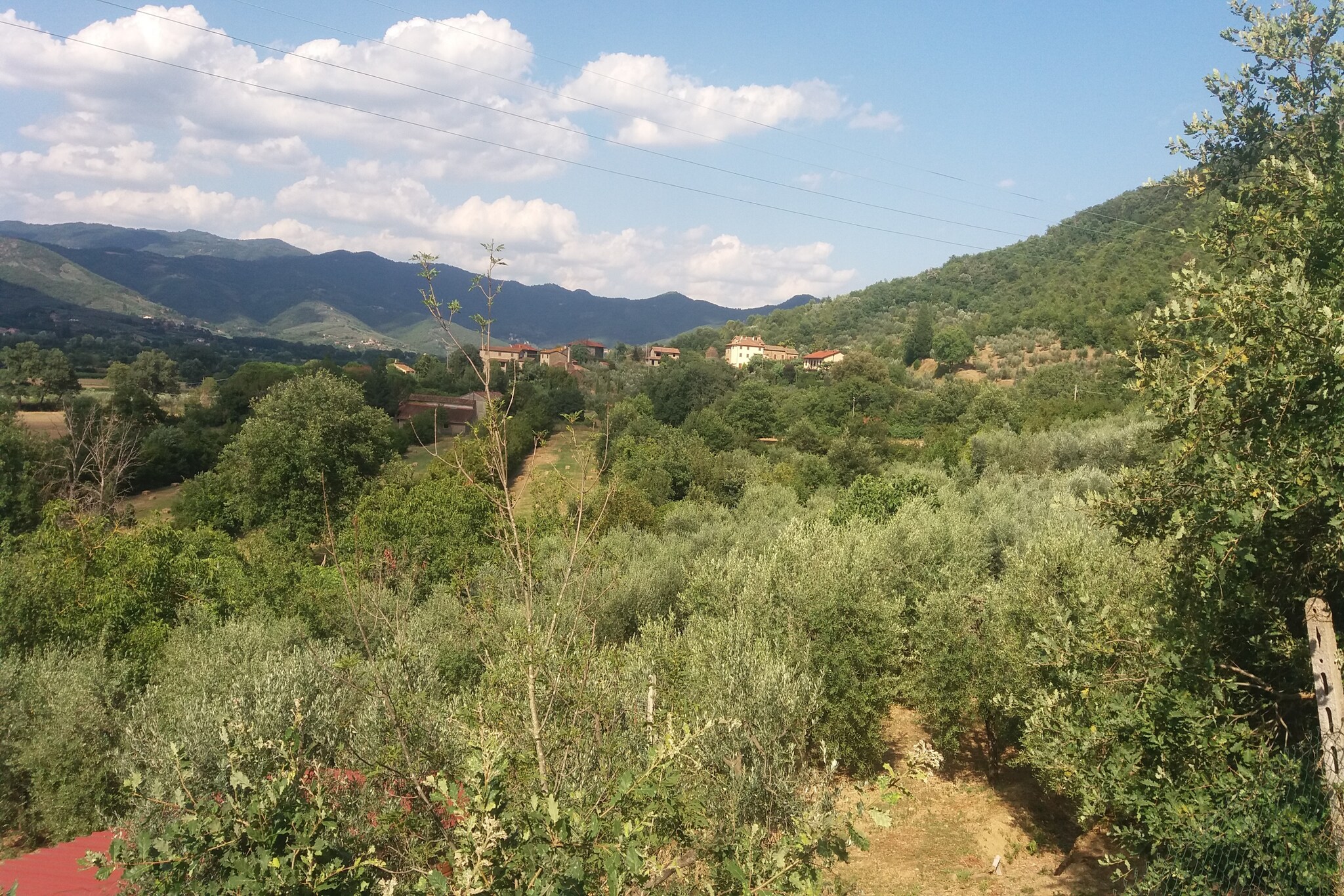 View Summer