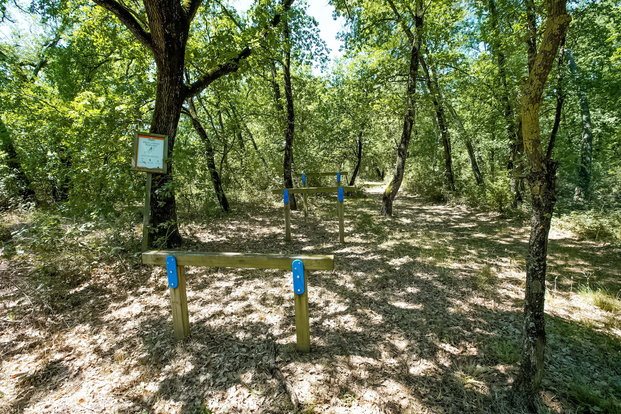Area Summer1 K M