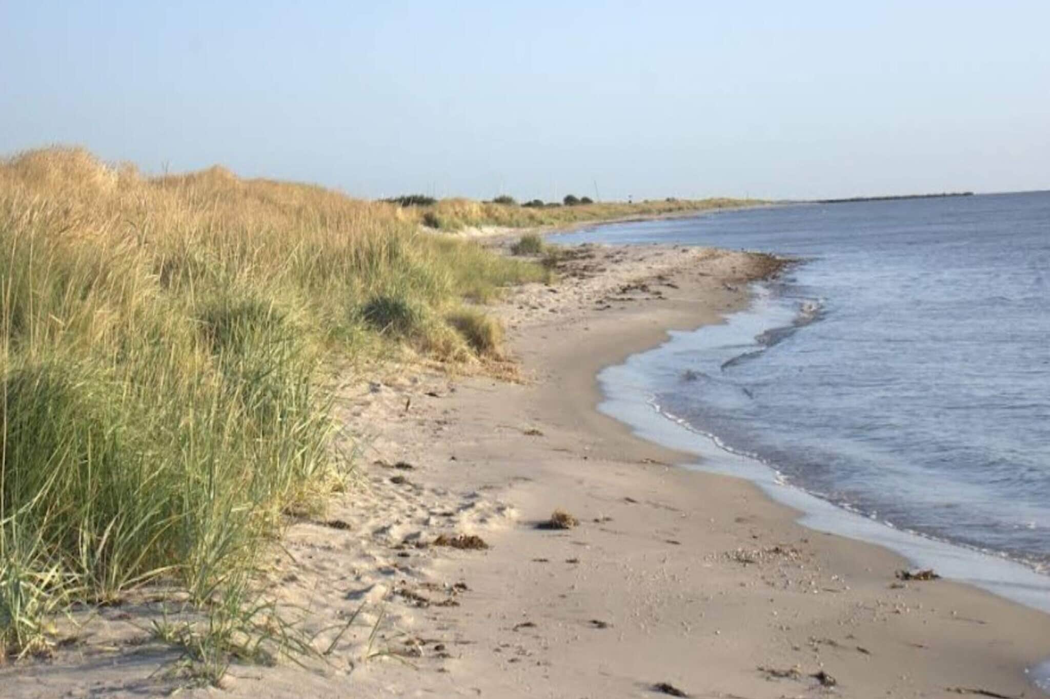 Afgelegen Duinhuisje-By Traum-Buitenlucht
