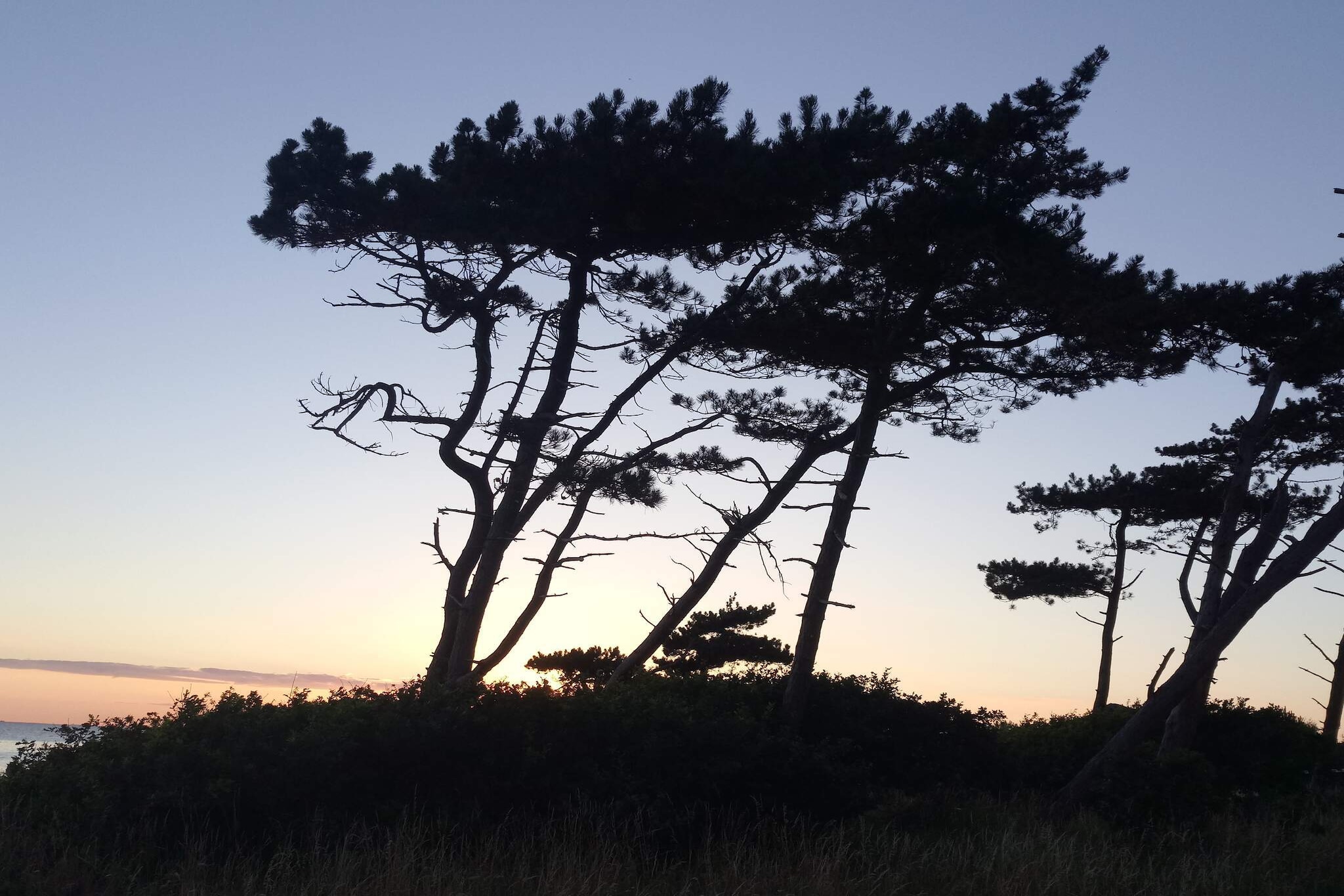 Denmark