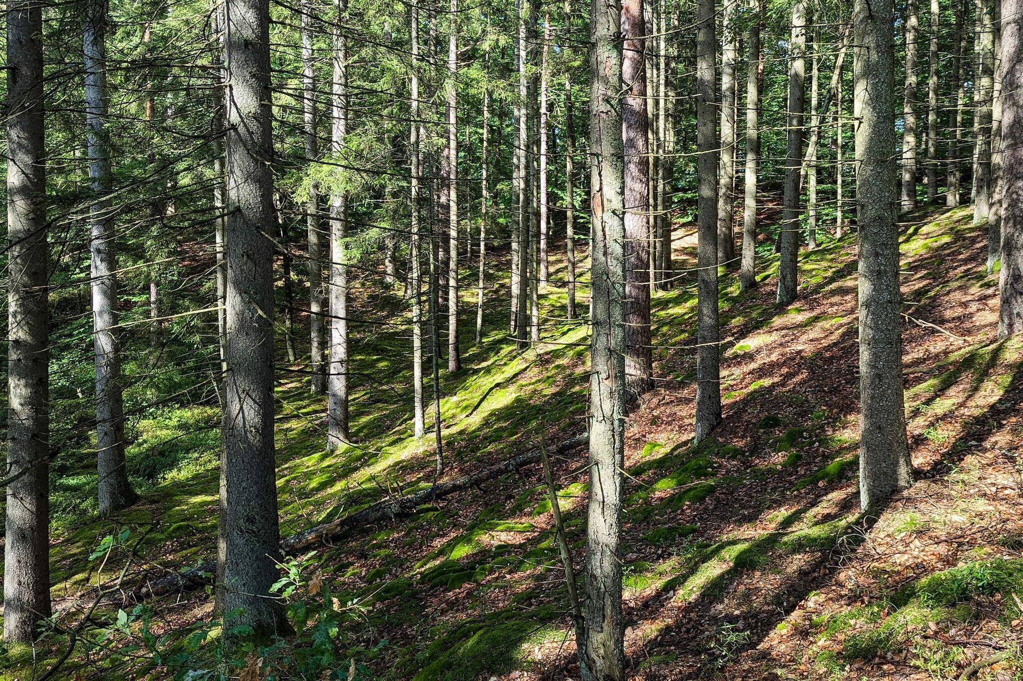6 persoons vakantie huis in Vittsjö-Niet-getagd