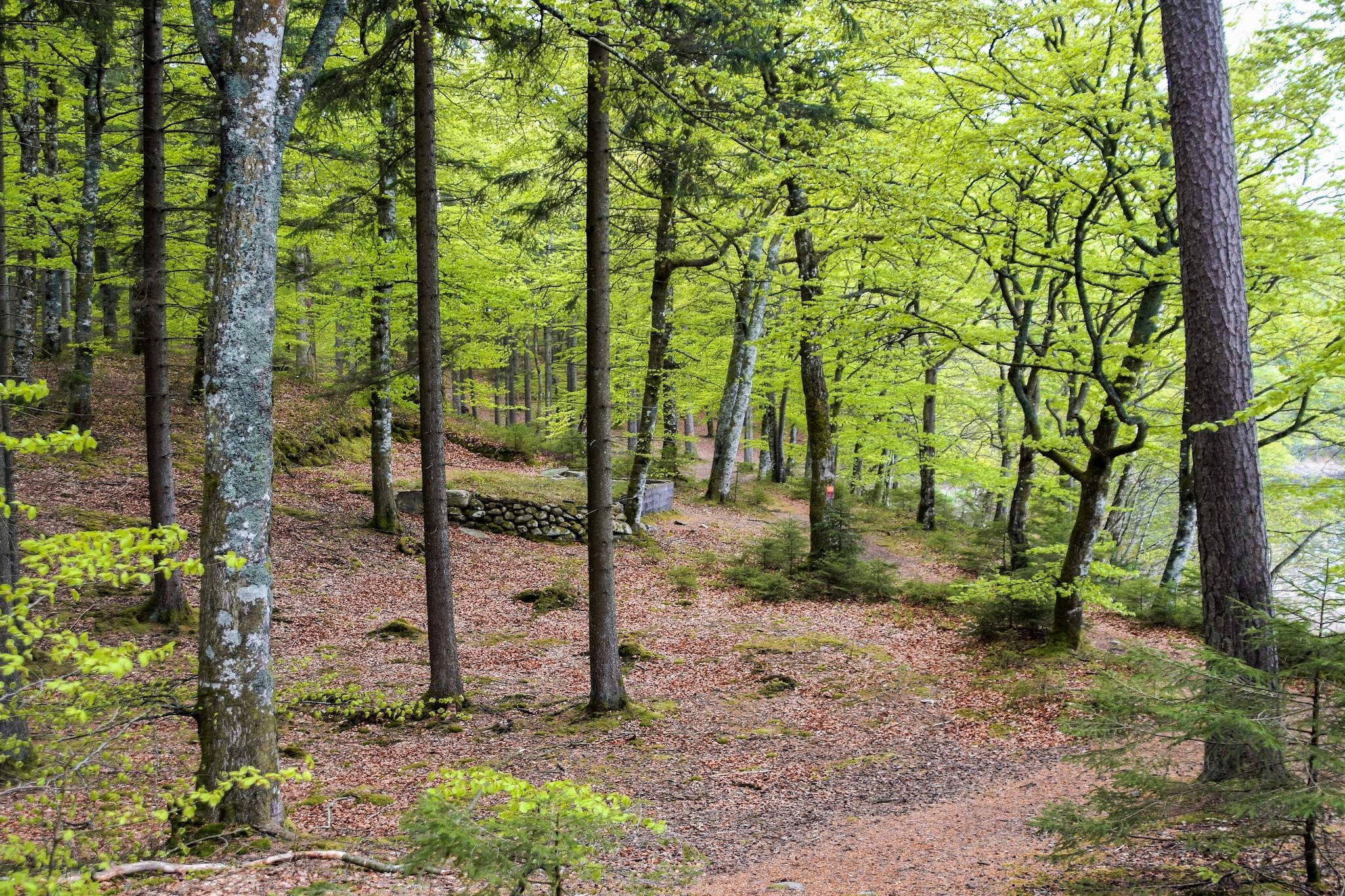 6 persoons vakantie huis in Vittsjö-Niet-getagd