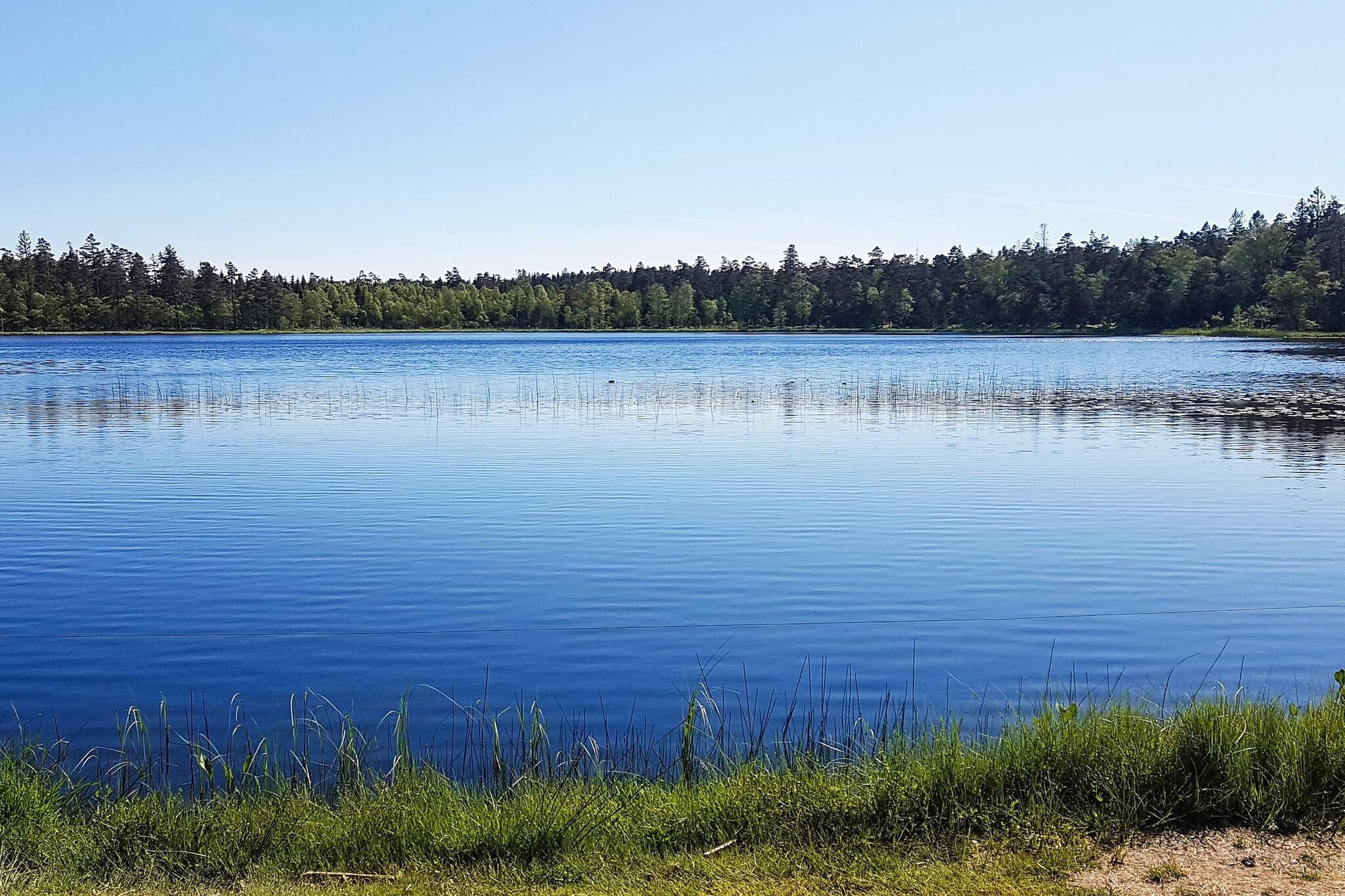 6 persoons vakantie huis in Vittsjö-Waterzicht