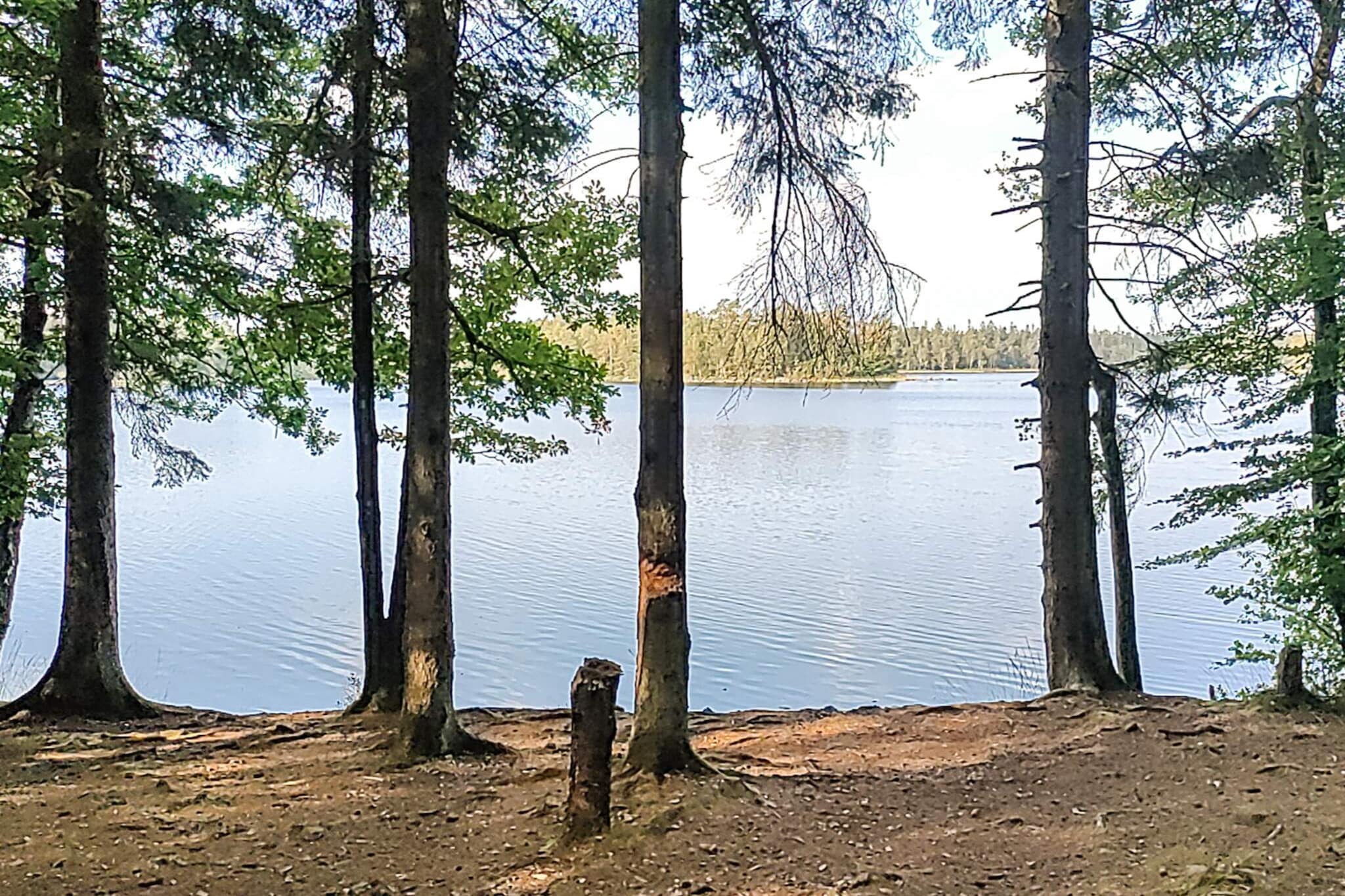 6 persoons vakantie huis in Vittsjö-Waterzicht