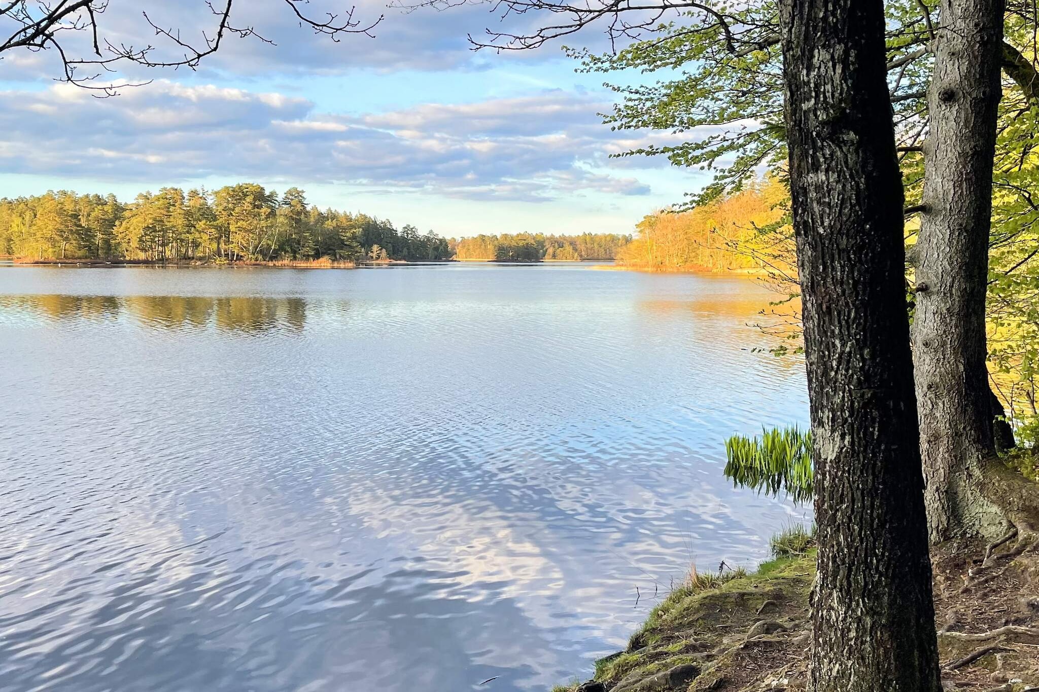 6 persoons vakantie huis in Vittsjö-Waterzicht