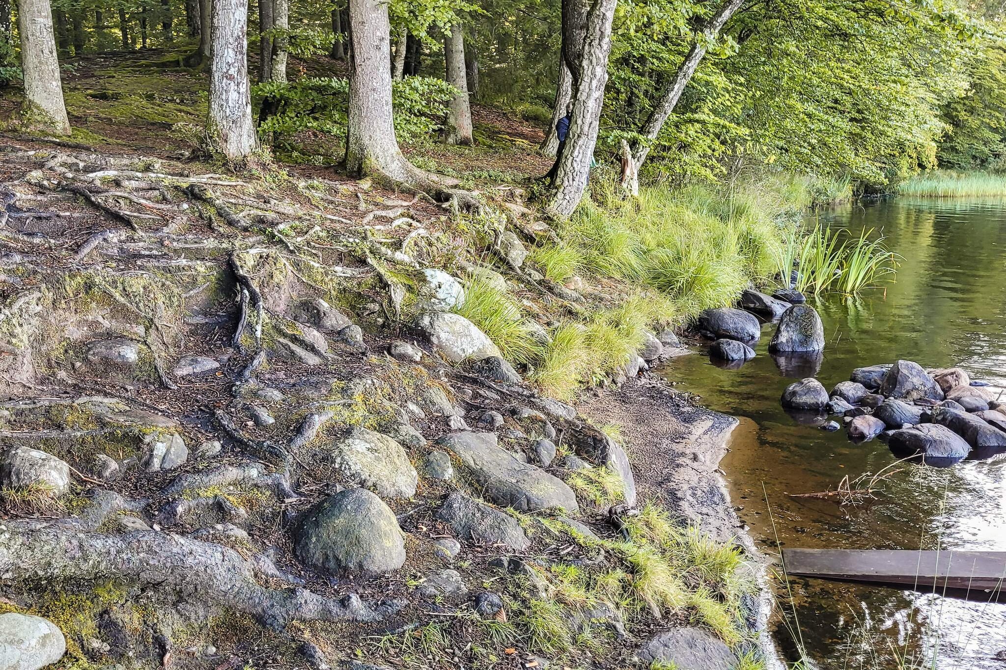 6 persoons vakantie huis in Vittsjö-Waterzicht