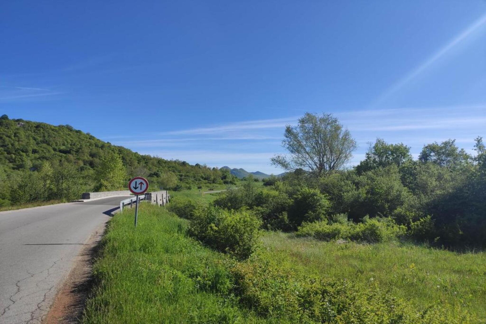 Degenia Velebitica nr 10/1-Gebieden zomer 1km