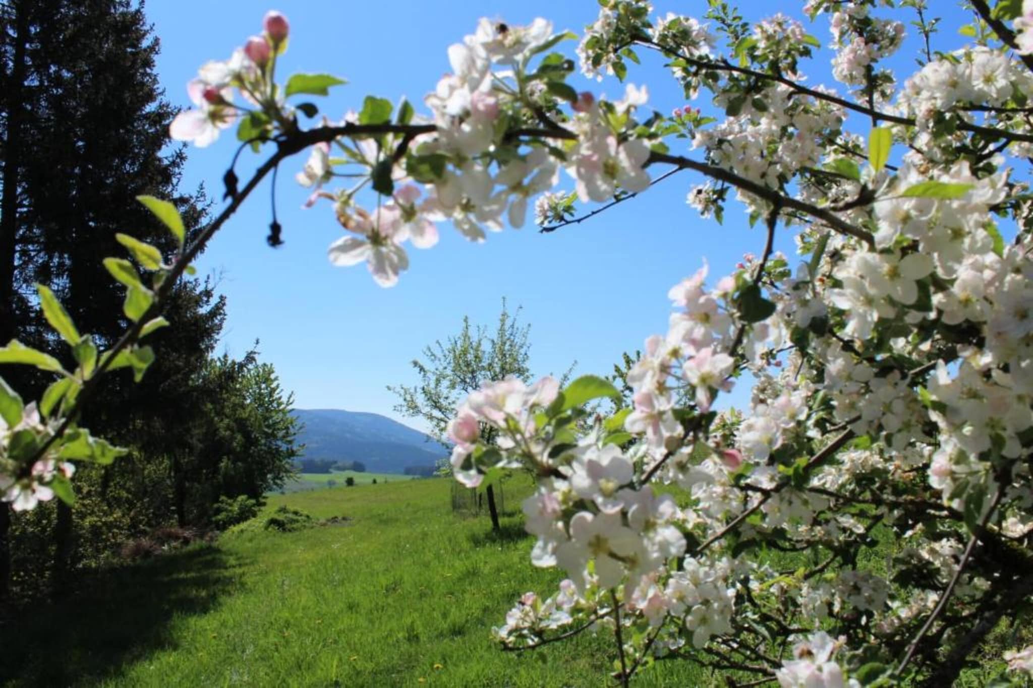 Weißenbrunn-Zones d'été à 20 km