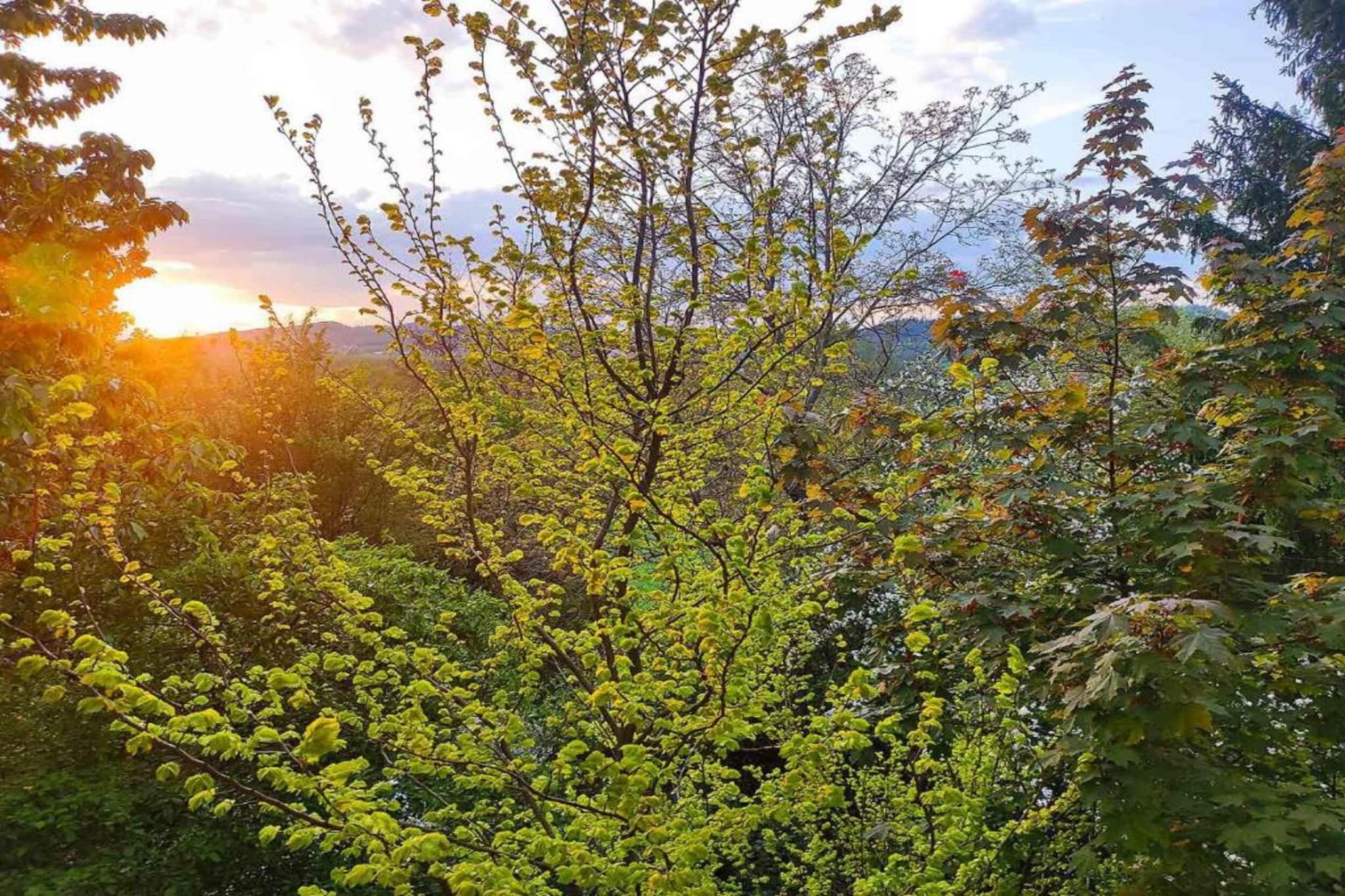 Weißenbrunn-Zones d'été à 20 km