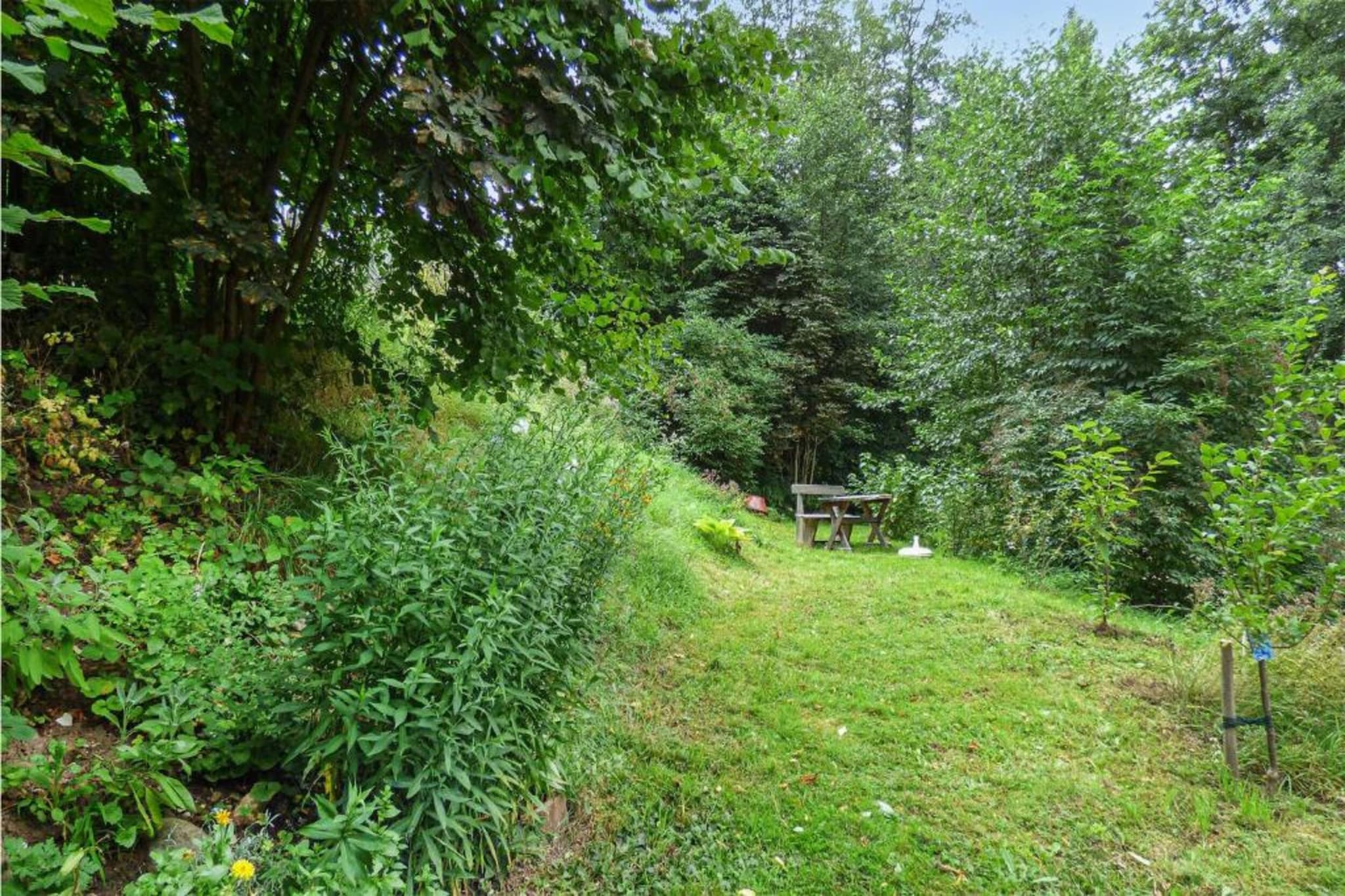 Weißenbrunn-Gebieden zomer 20km