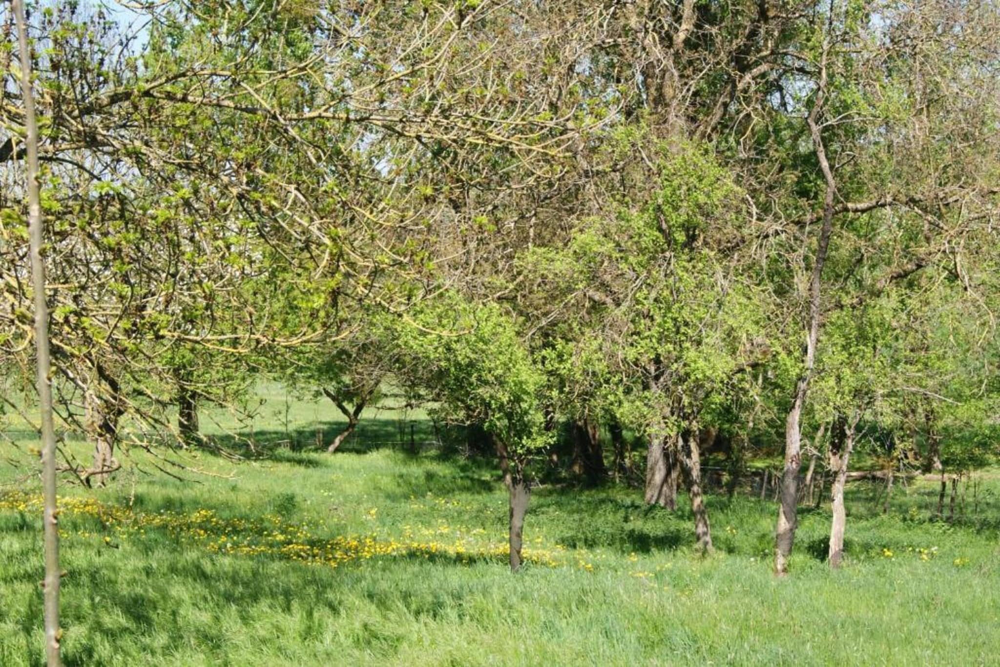 Gite au Grenier d'abondance-Gebieden zomer 20km