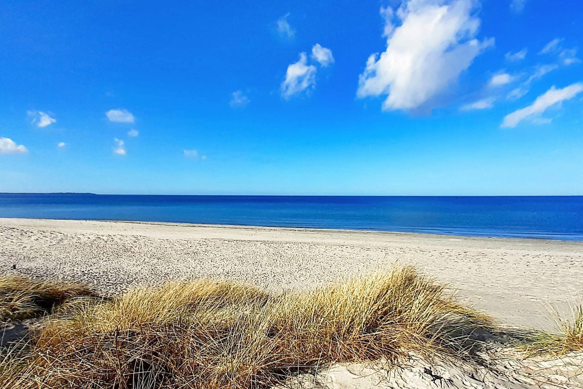 open kitchen(cooker(electric), hood, coffee machine, dishwasher, fridge-freezer), Living/bed room(TV(danish TV channels (DR1 and TV2))), bedroom(double bed), bedroom(double bed), bedroom(double bed), bathroom(floor heating)(tumble dryer, bathtub or shower, washbasin, toilet, washing machine), bathroom(floor heating)(bathtub or shower, washbasin, toilet), Bubble bath(indoor, heated, 2 persons), sauna(indoor, heated, 4 persons), balcony, heating(electric), terrace, BBQ, swimming pool(shared with other guests, outside)