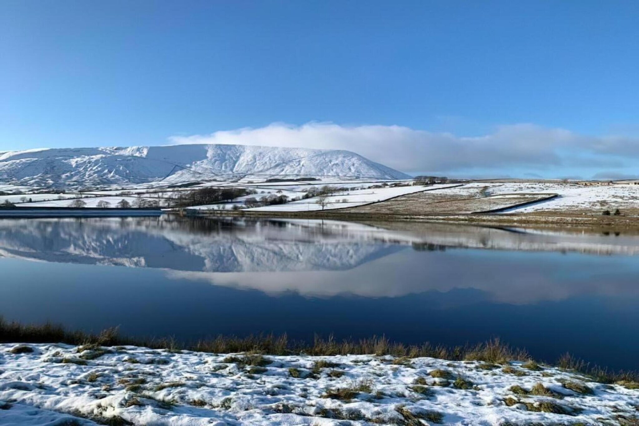 The Grove Apartments-Gebied winter 20km