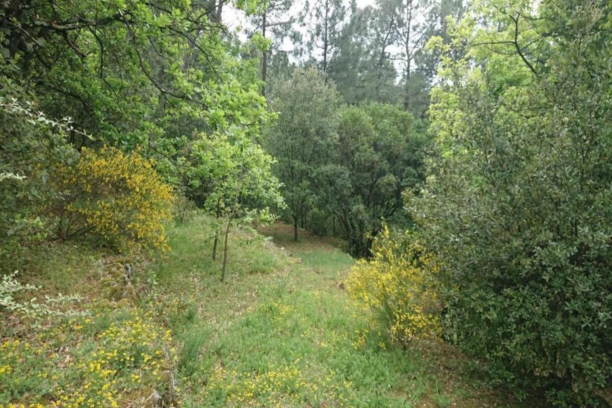 Studio 2 personnes Les Papillons-Gebiete Sommer 20 km