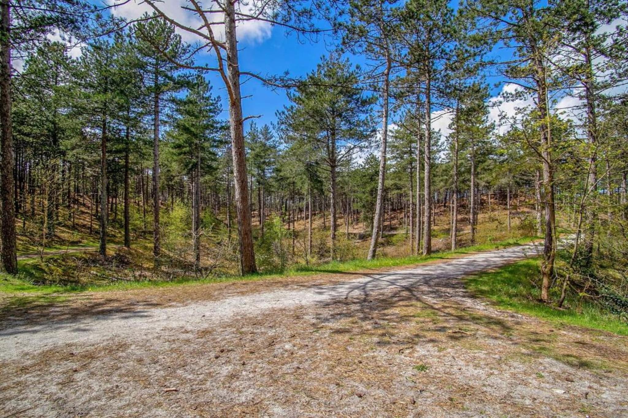 Koningshoeve 4 people with 3 bedrooms - Areas within 5km in summer