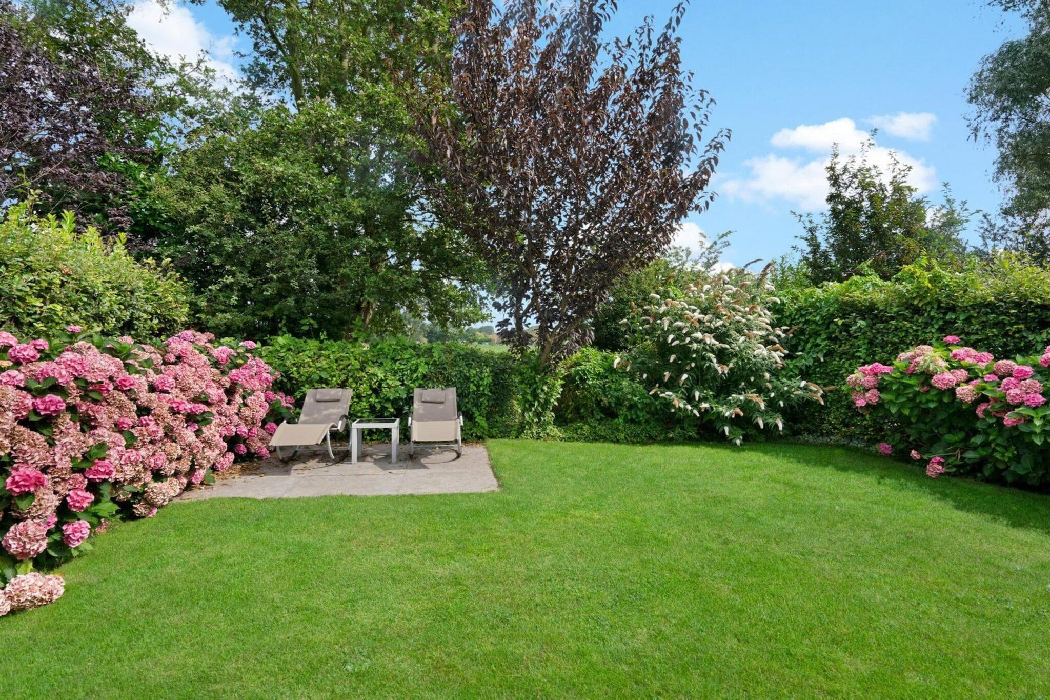 Koningshoeve 4 people with 3 bedrooms - Gardens in summer